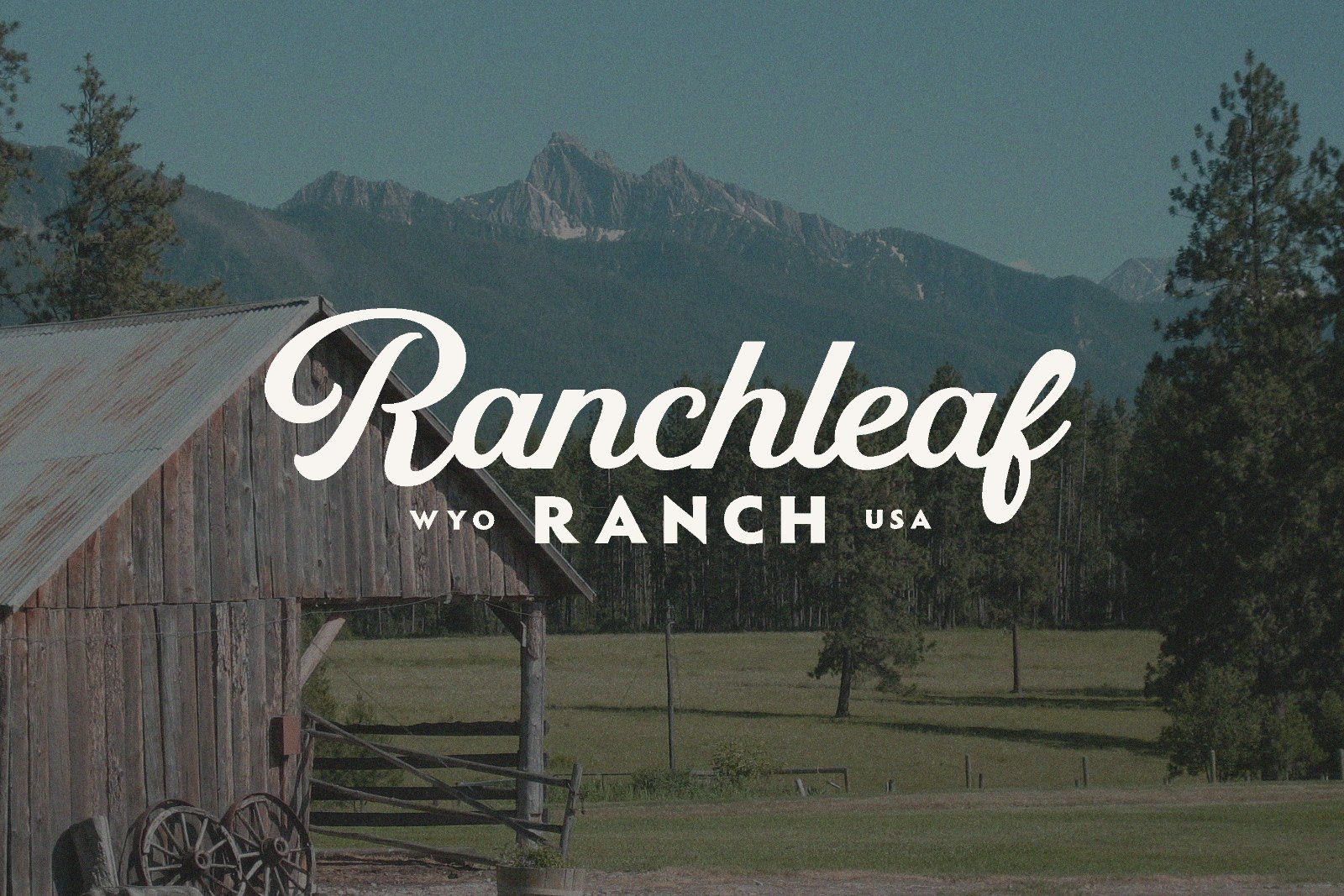 Ellitane - Script Font