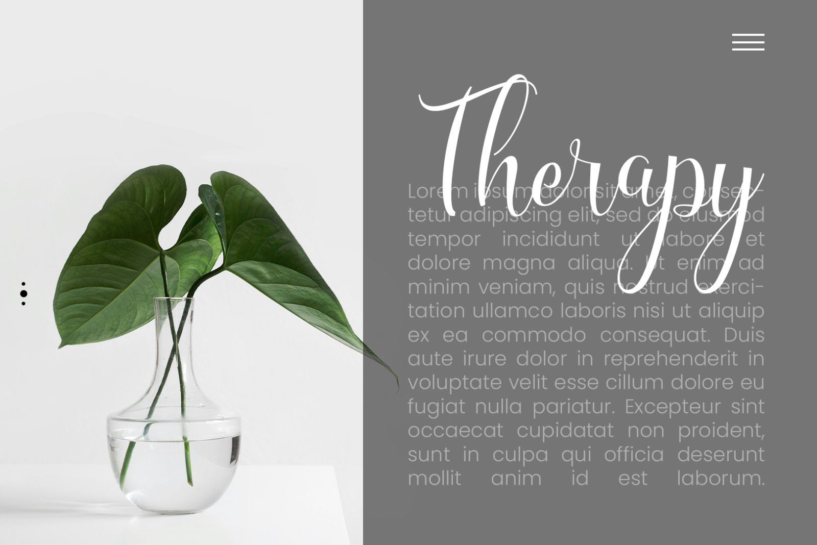Morcote Script Handwritting — image 4