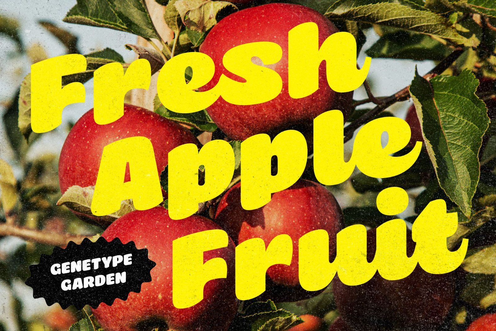 Briska – Soft Playful Script and Sans Font Duo