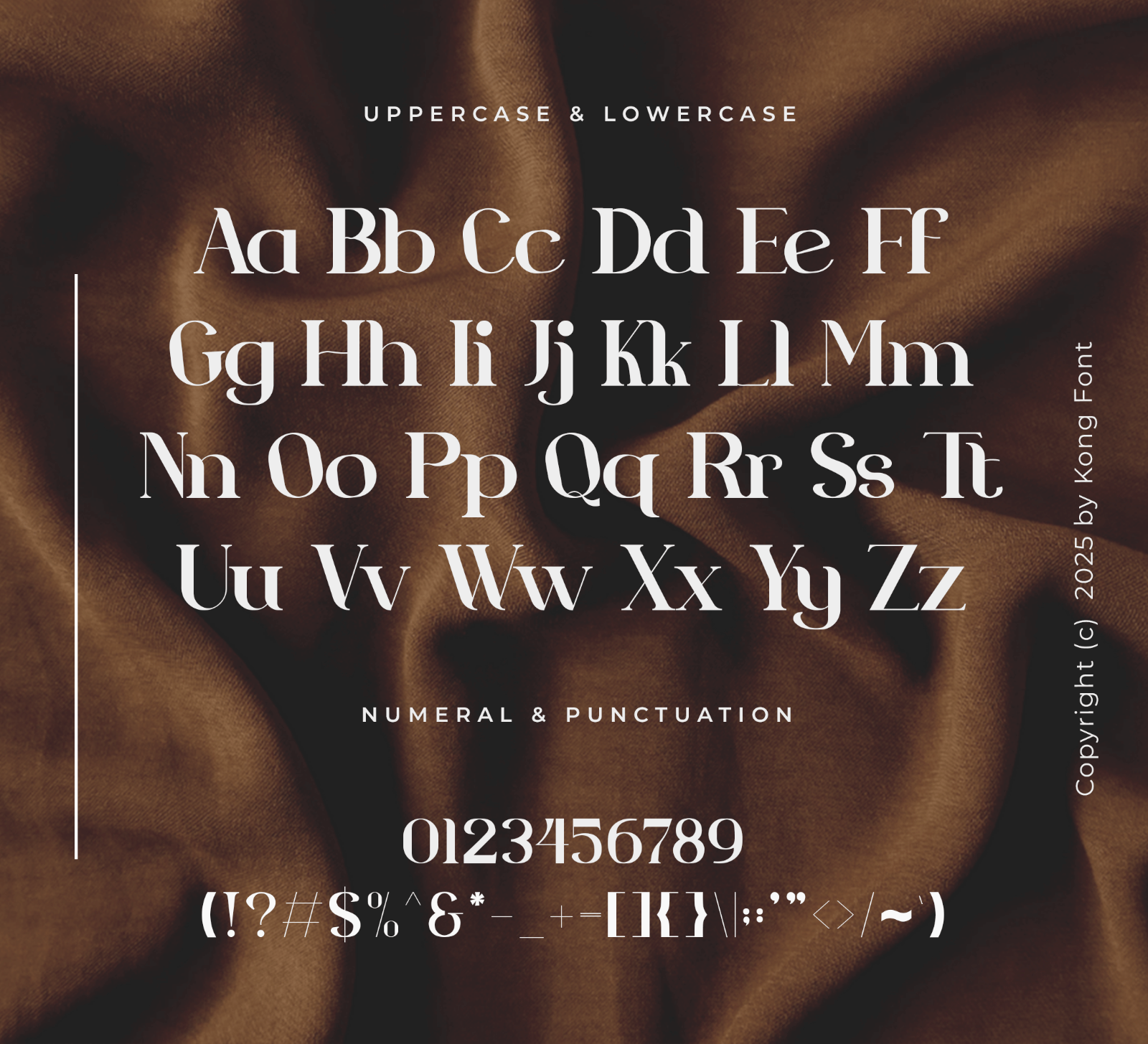 Seroona – Modern Classy Serif Font — image 4