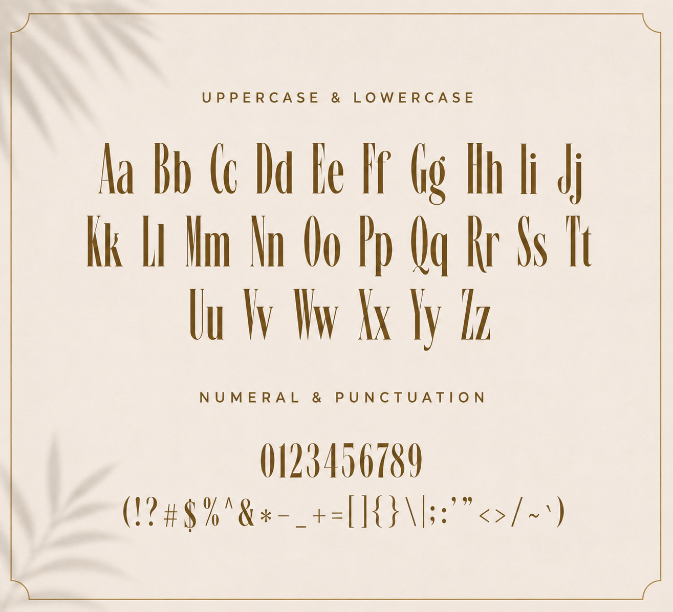Vellaro – Modern Luxury Serif Font — image 4