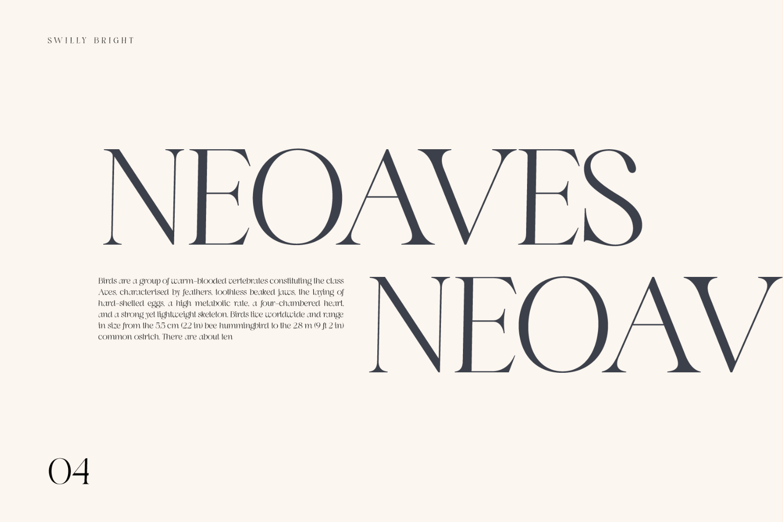 Swily Bright | Classy Font