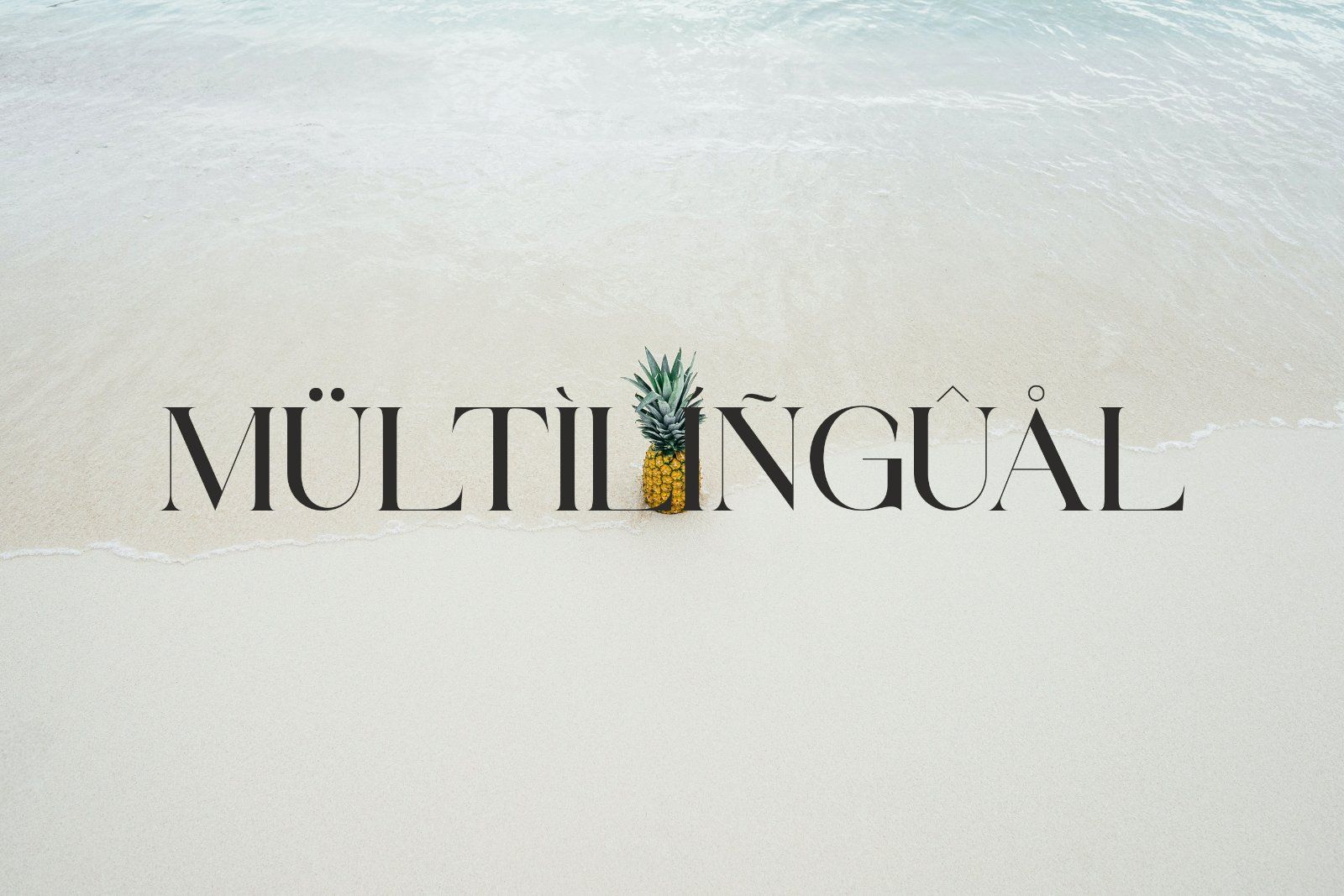 Volgarie - Modern Stylish Serif Font — image 10