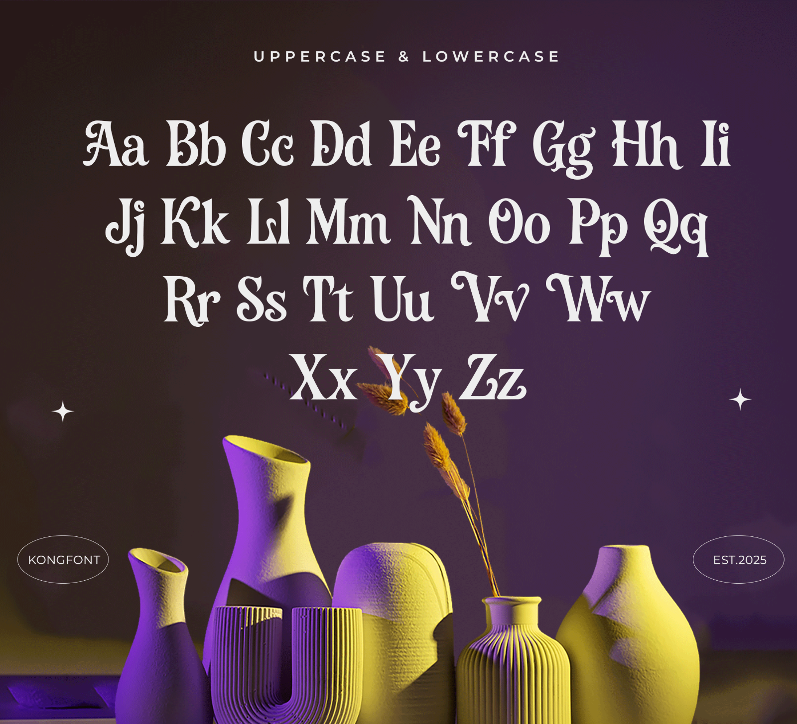 Roflair – Modern Classy Decorative Serif Font — image 4