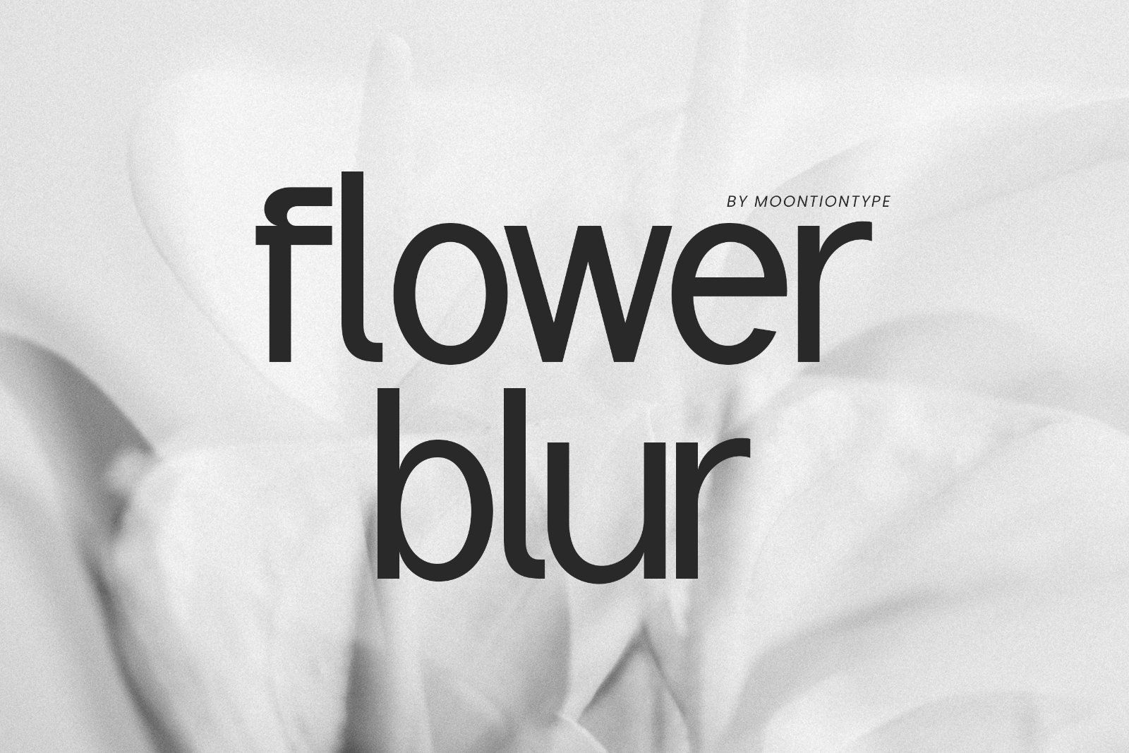 Rangled | Corporate Sans Serif Font