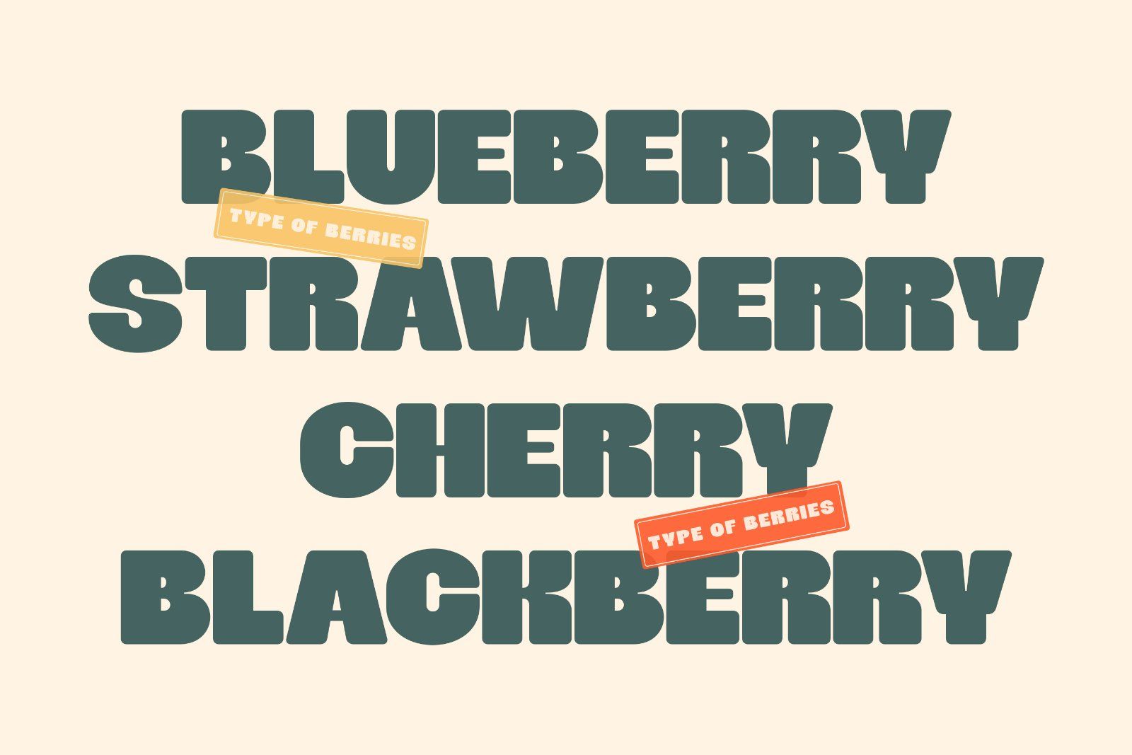 Shagie Boogie | Extra Chunky Bold Display Font