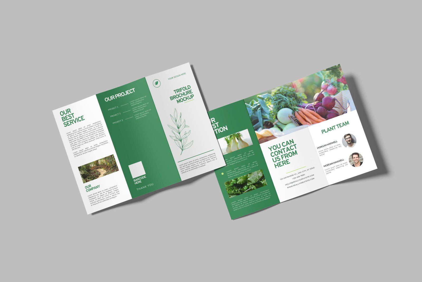 Trifold Brochure Mockup — image 5