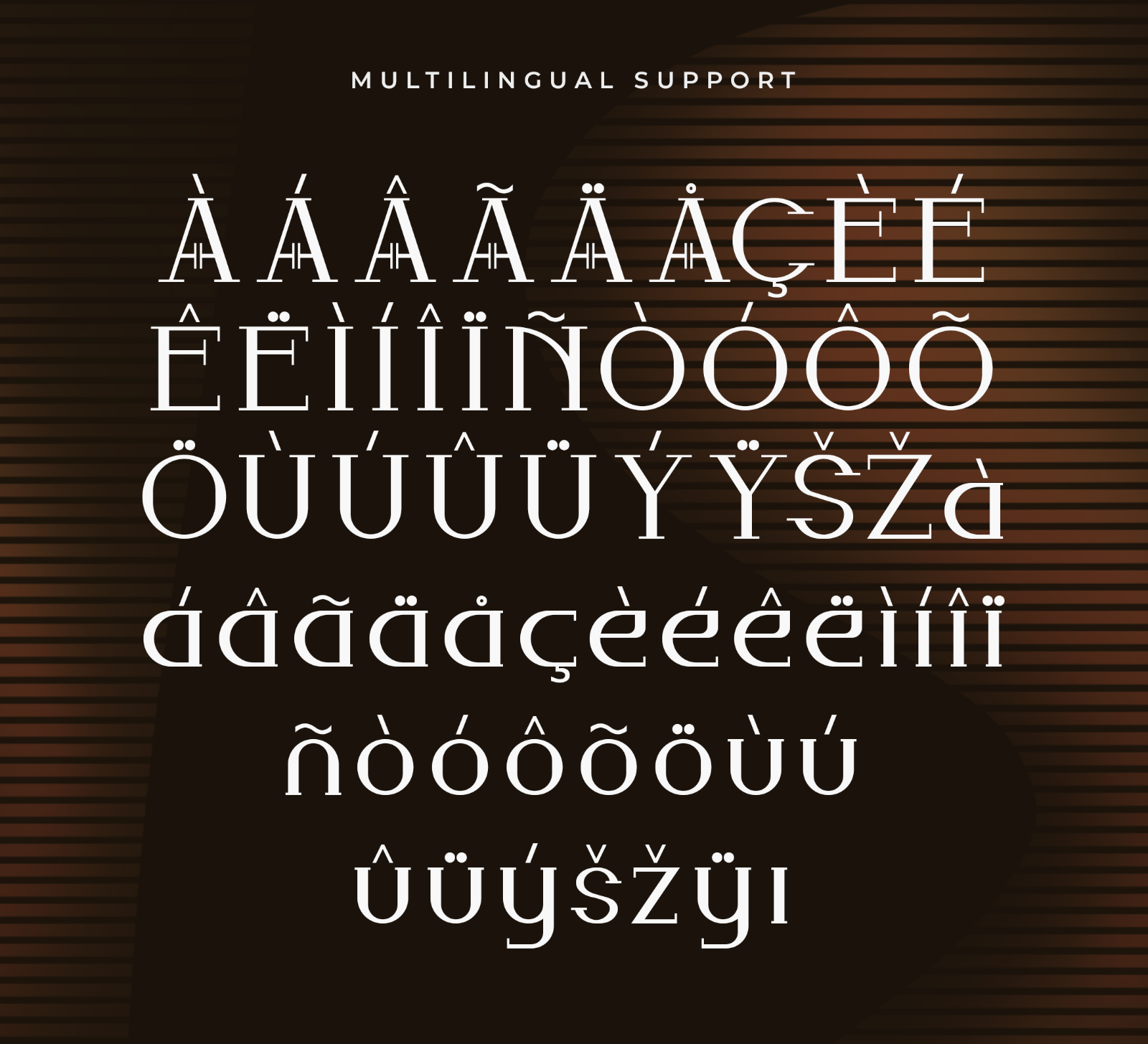 Serelie – Modern Elegant Serif Font — image 5