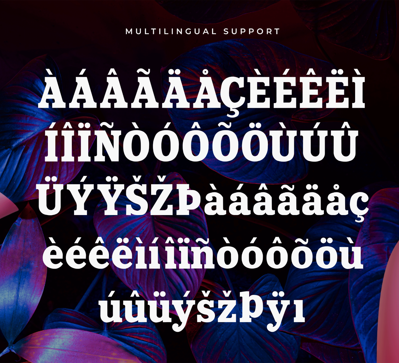 Butterfly – Modern Classy Bold Serif Font — image 5