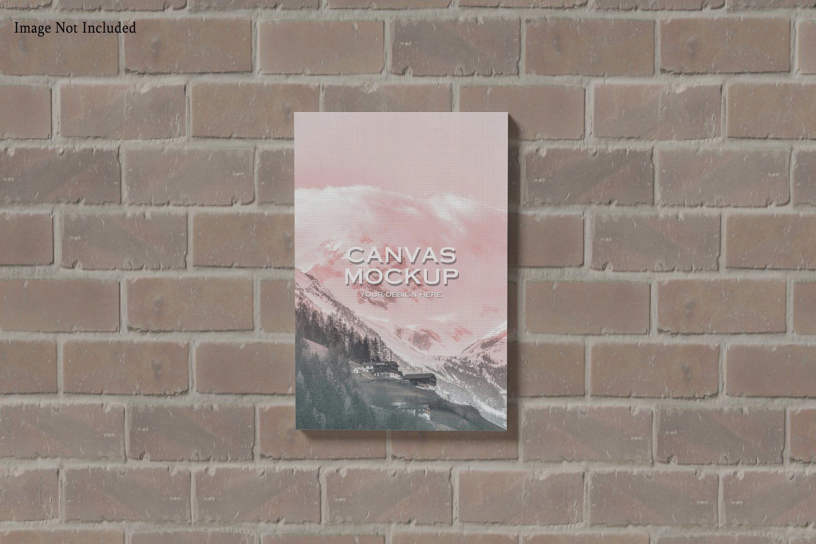 Canvas Mockup — image 5