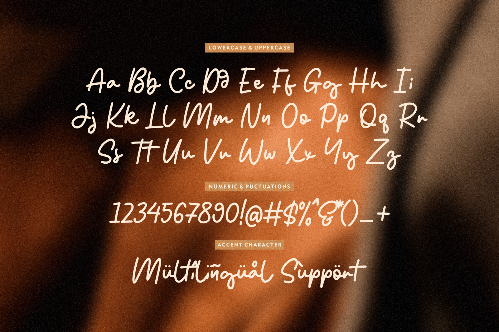 Reileight Winterlane - Monoline Script Font