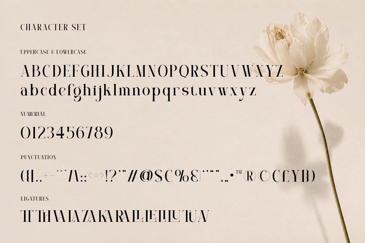 Luxury Serif Font – Monrave — image 5