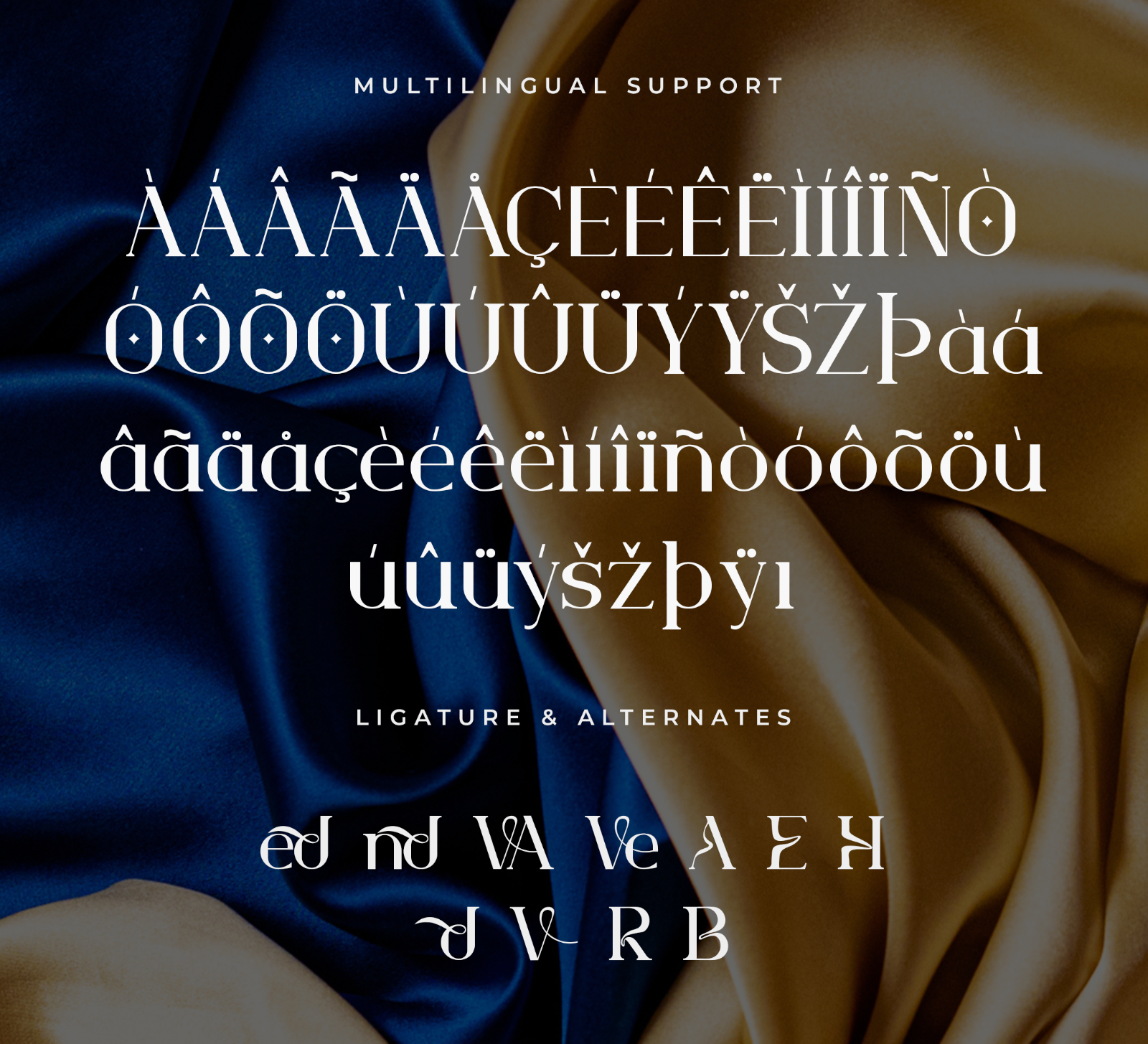 Vendelle – Modern Elegant Serif Font — image 5