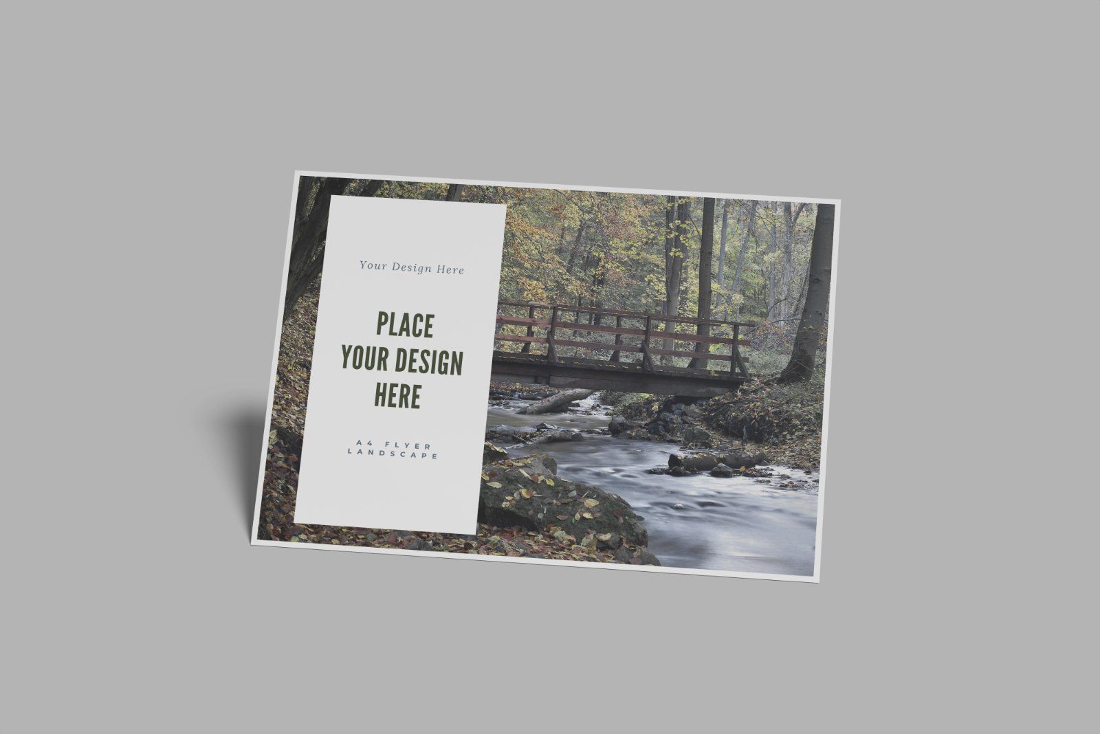 A4 Landscape Mockup