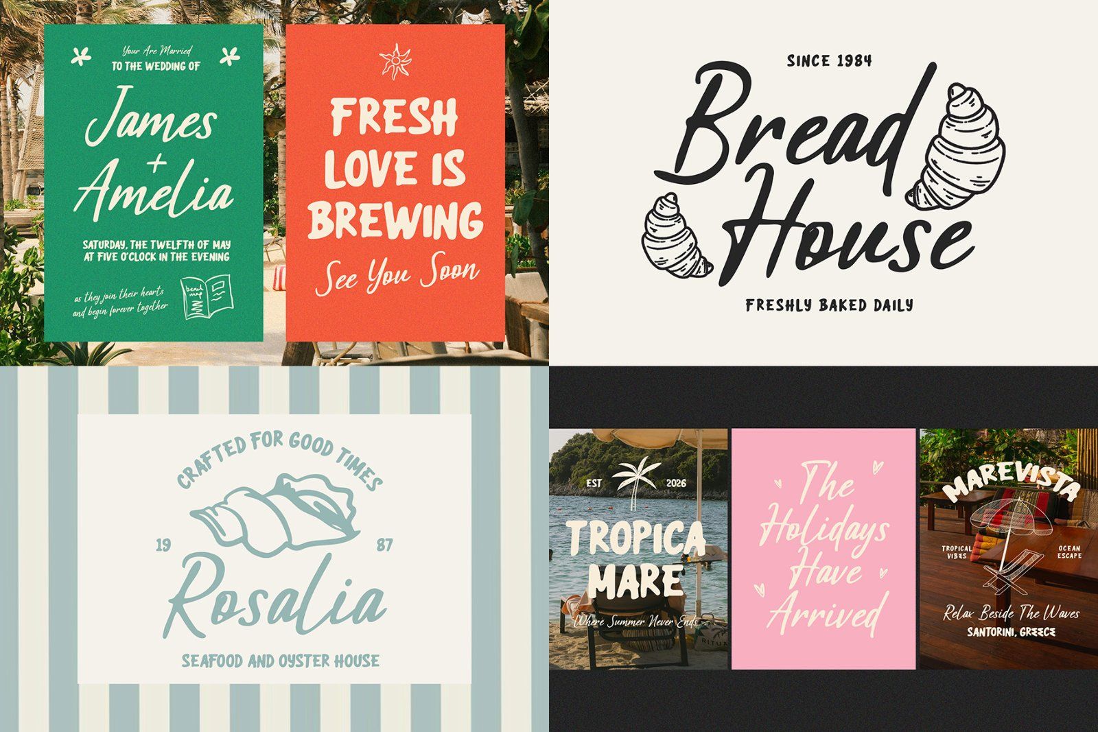 Brand Font Bundle