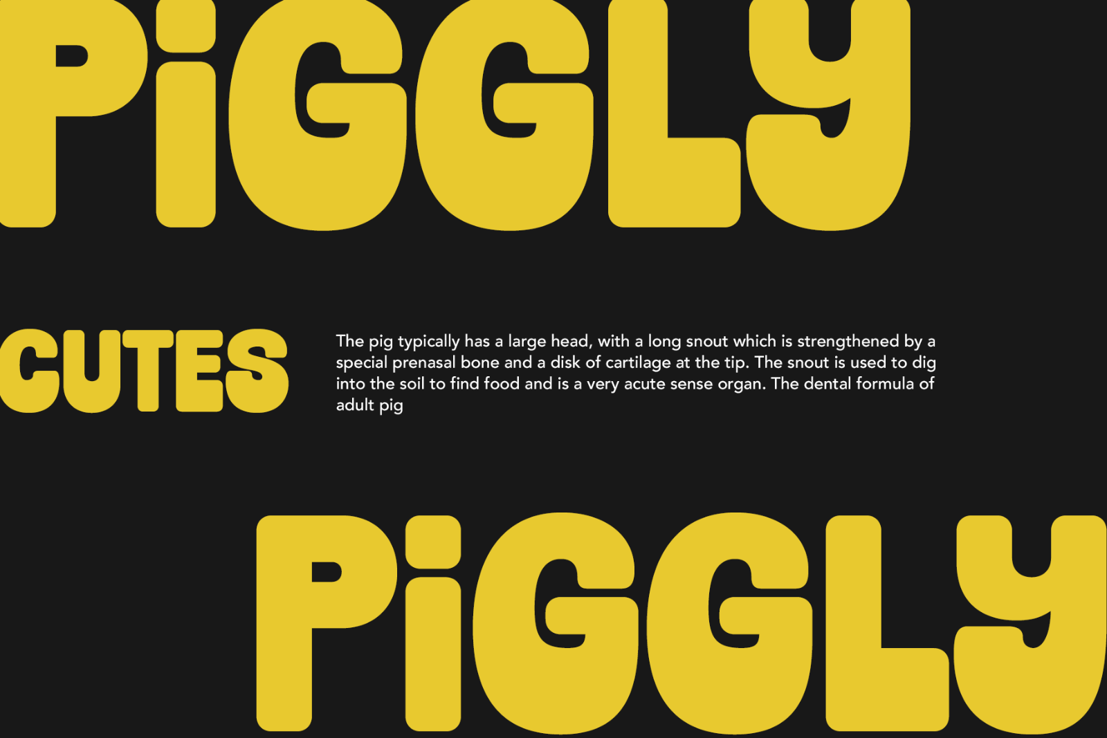 Jt Gilboys | Display Font