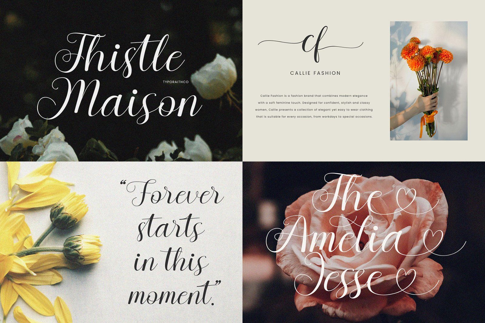 Modern Serif & Script Font Bundle