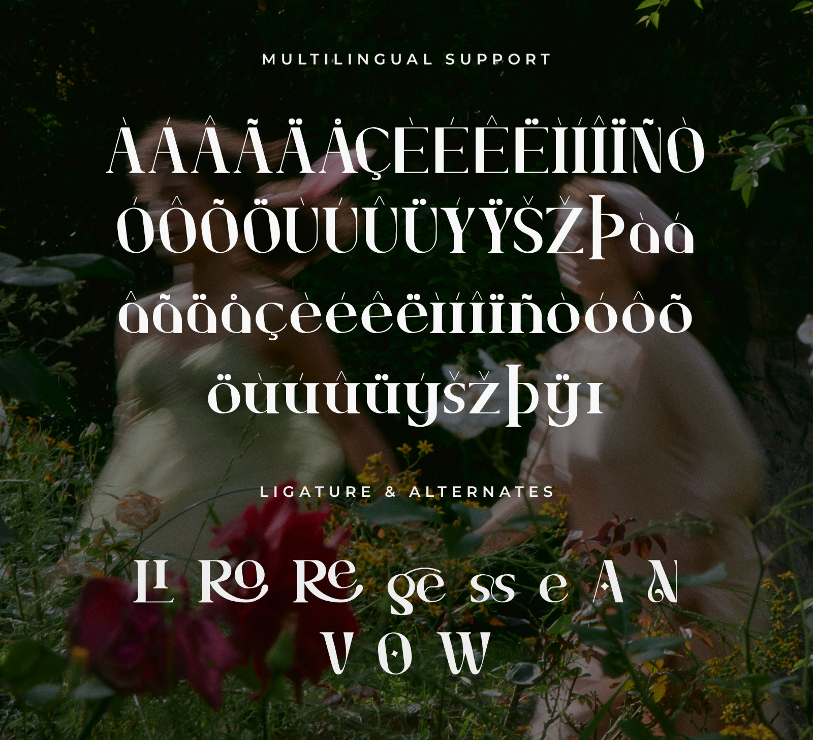 Nossavio – Modern Elegant Serif Font — image 5