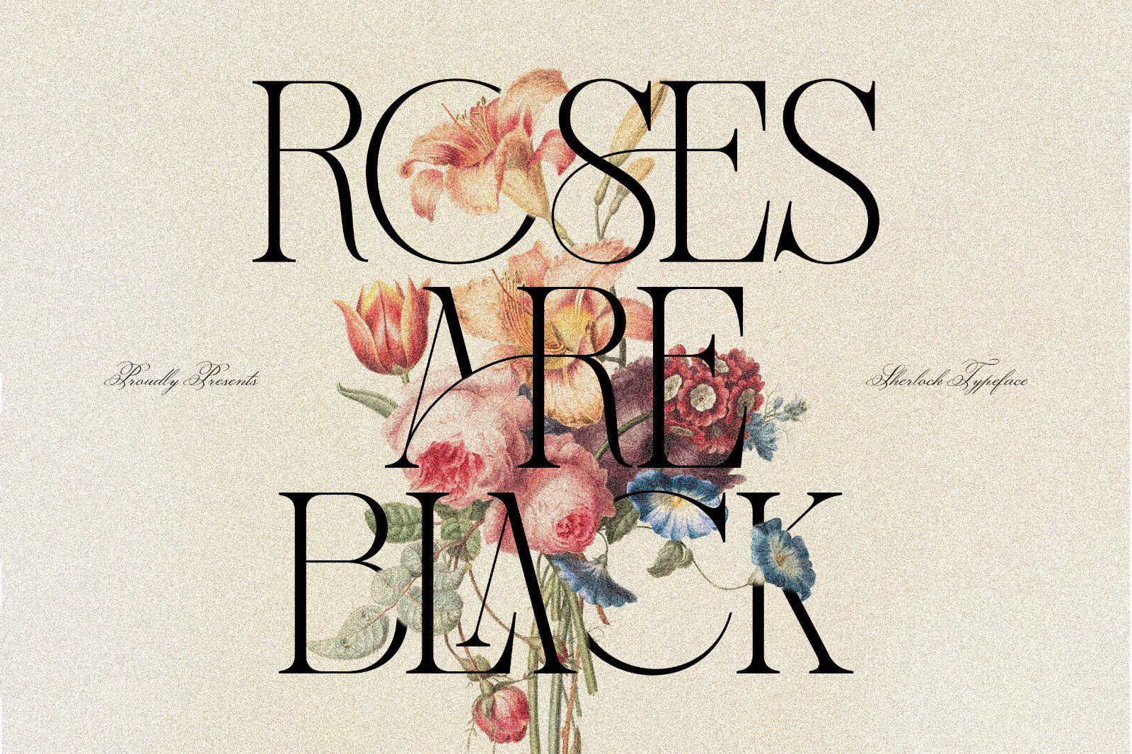 Headline Serif Font Bundle