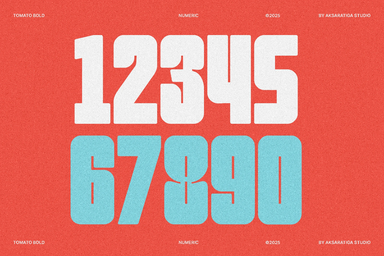 Tomato Bold — image 5