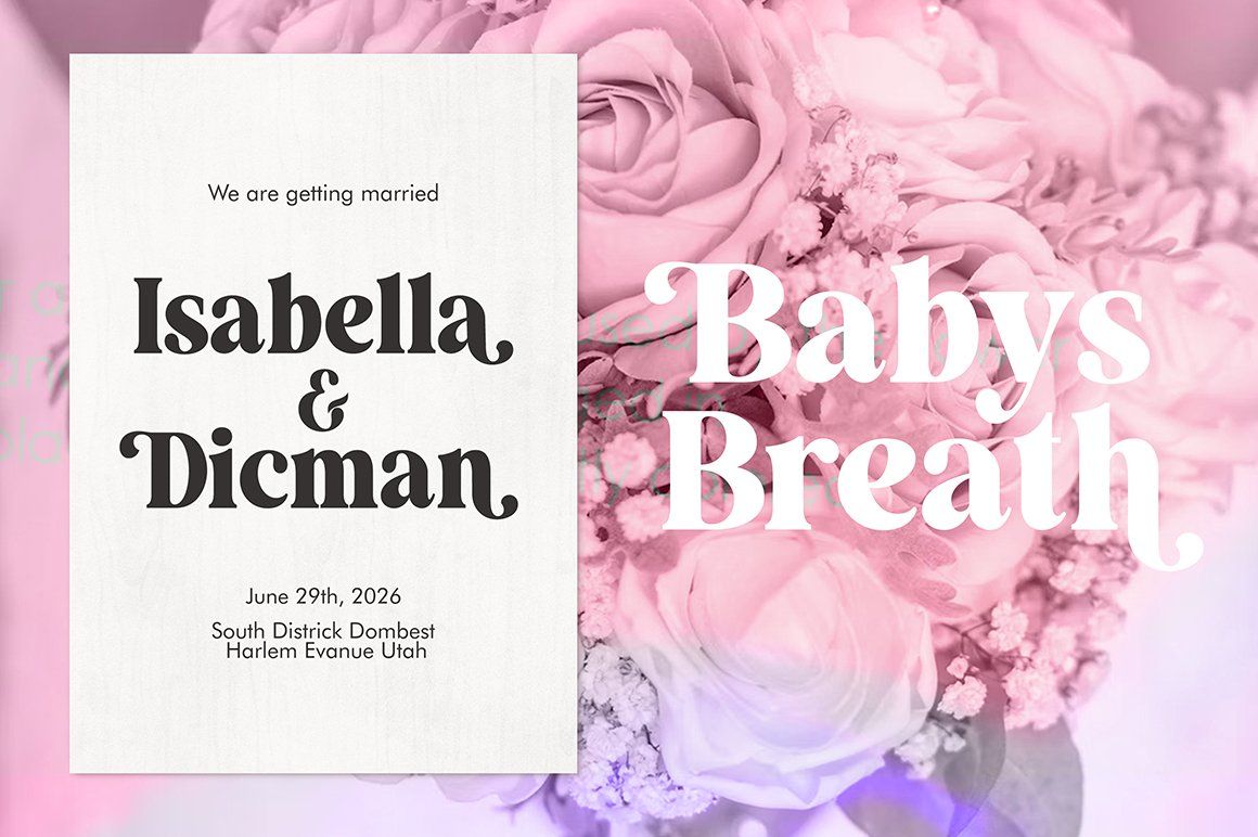 Remaid Typeface