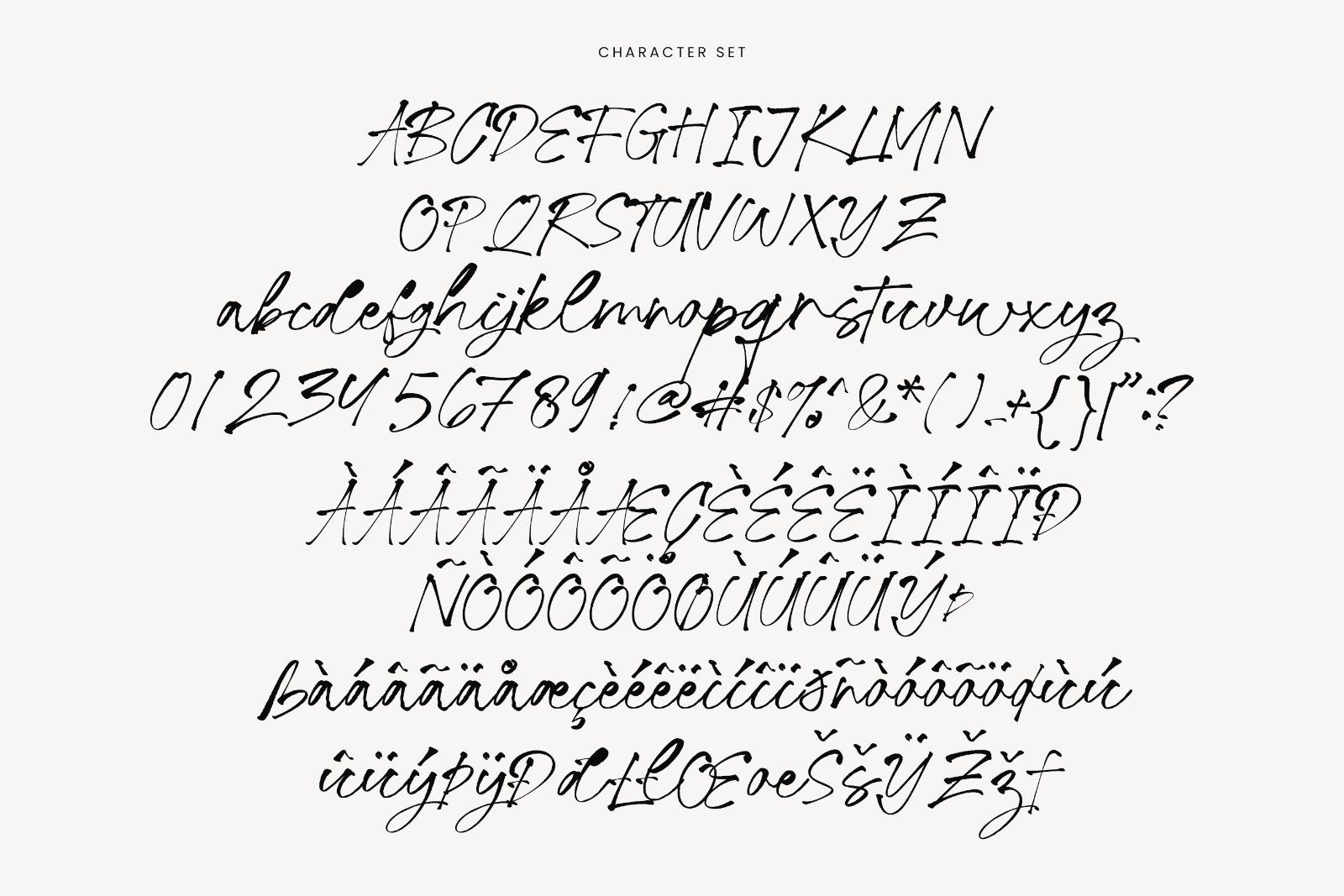 Smith Brittany Signature Script Font — image 14