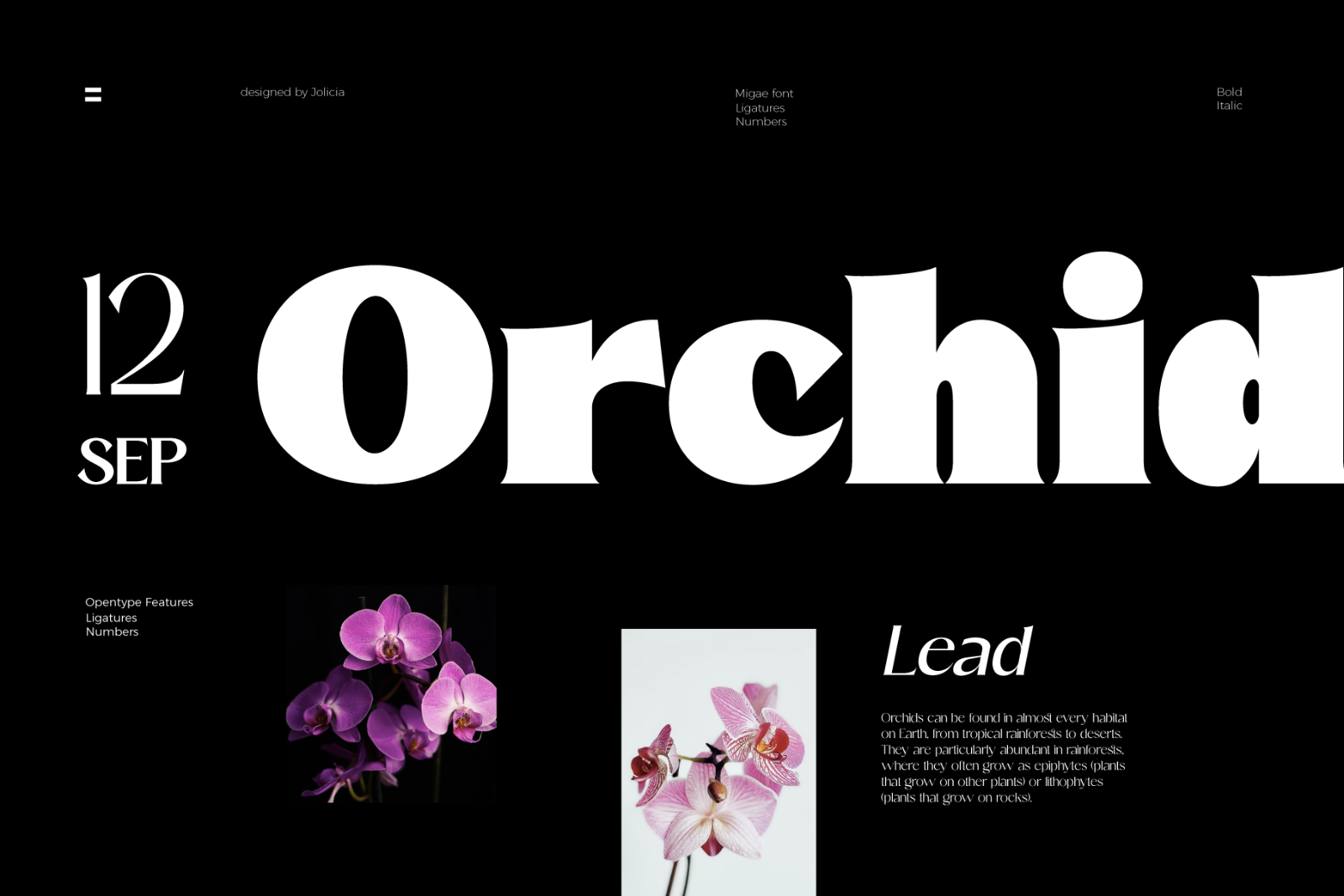 Migae | Display Font — image 6
