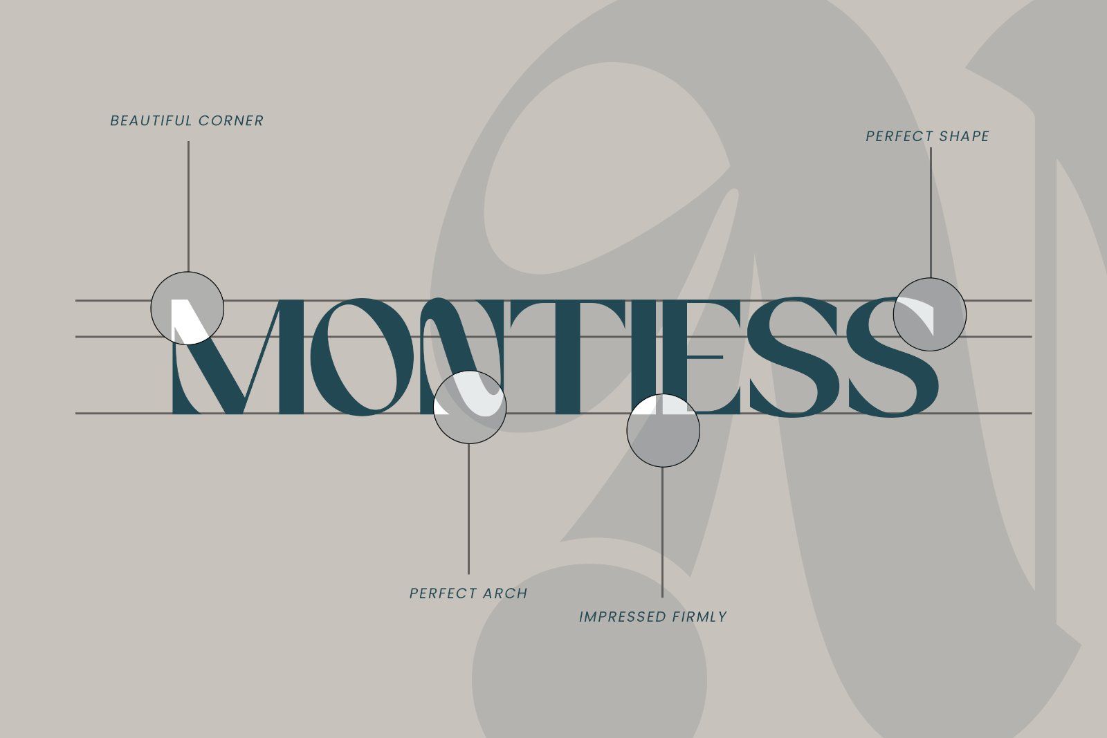 Megante | Elegant Sans Serif Font with Alternates