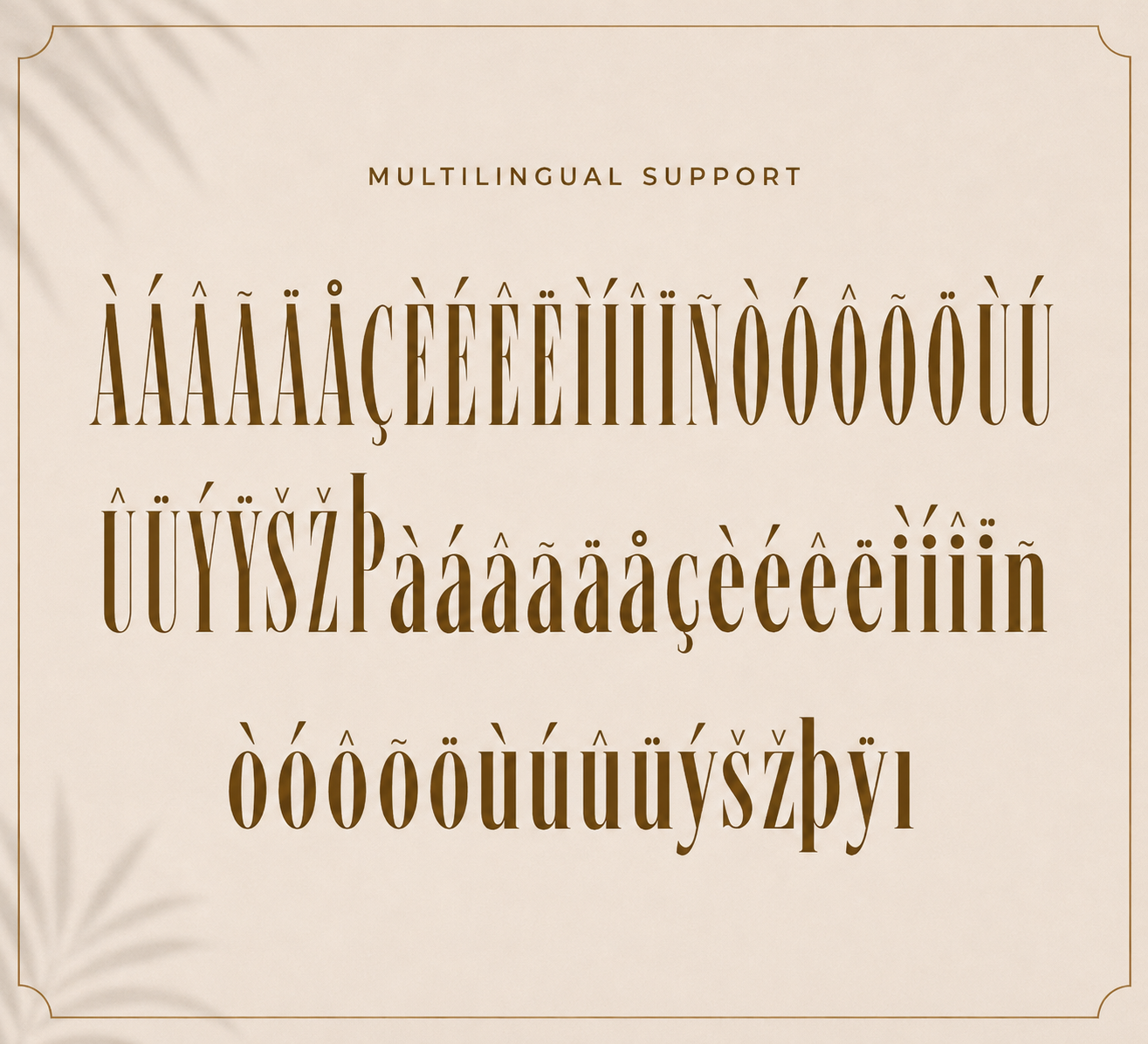 Vellaro – Modern Luxury Serif Font — image 5