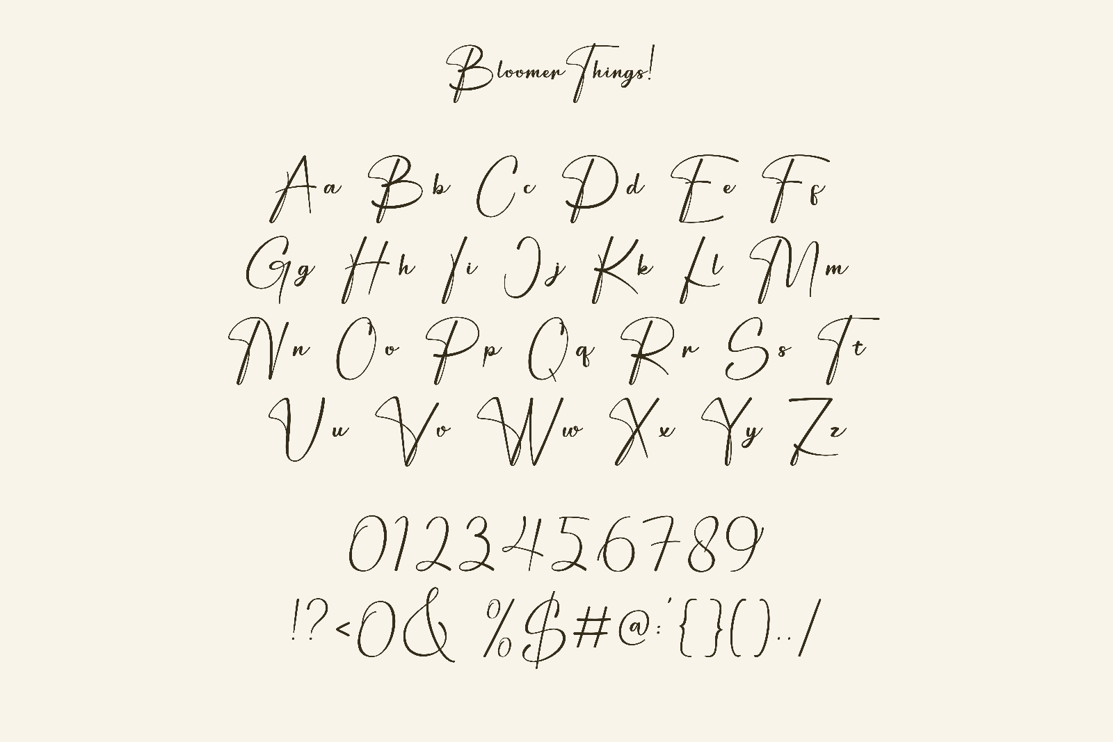Bloomer Things | Elegant Script Font