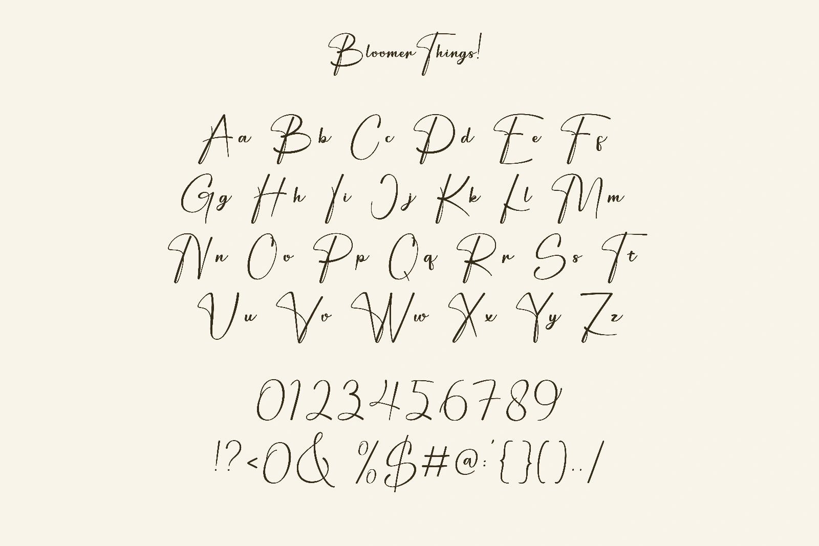 Bloomer Things | Elegant Script Font — image 5