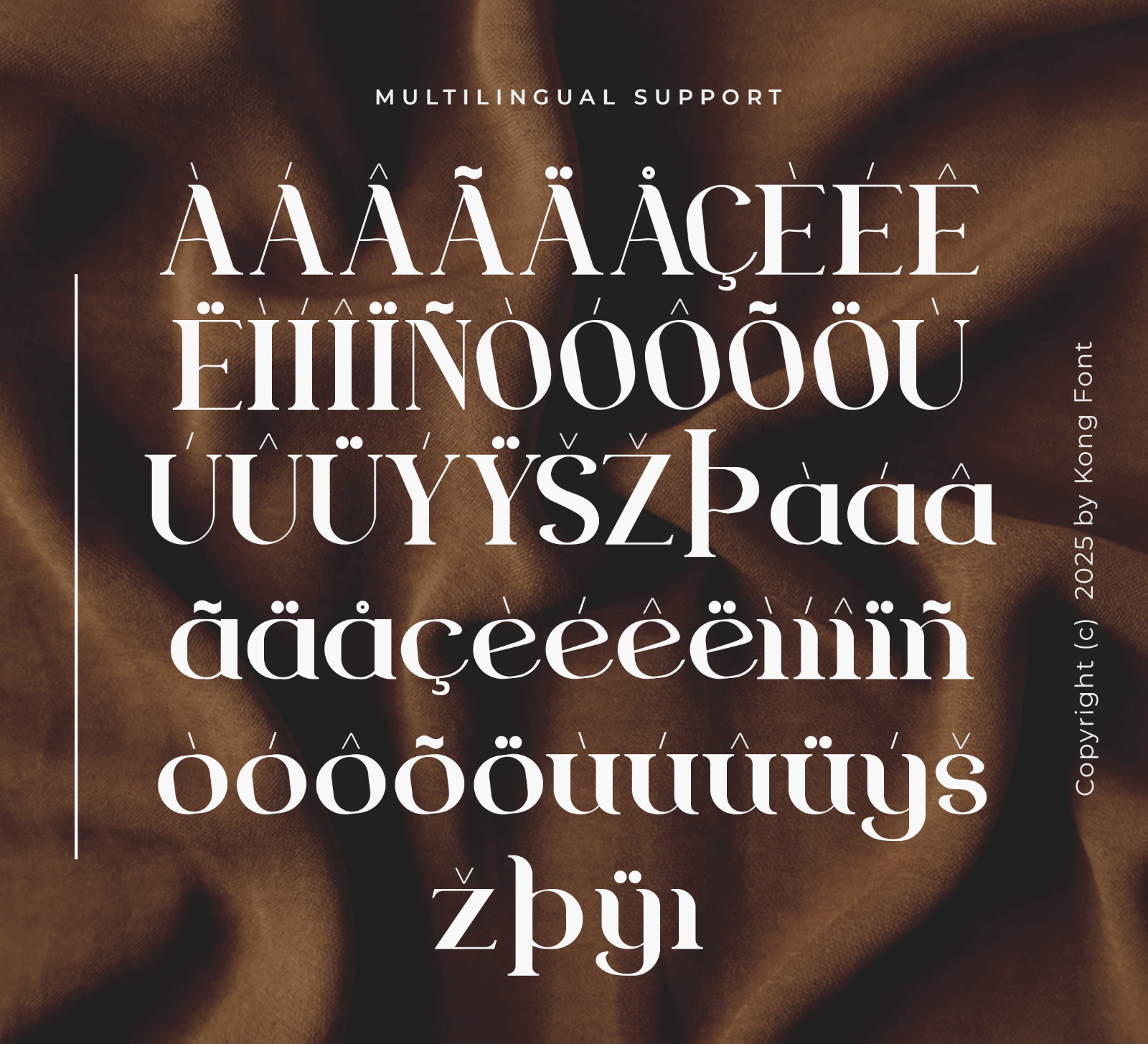 Seroona – Modern Classy Serif Font — image 5