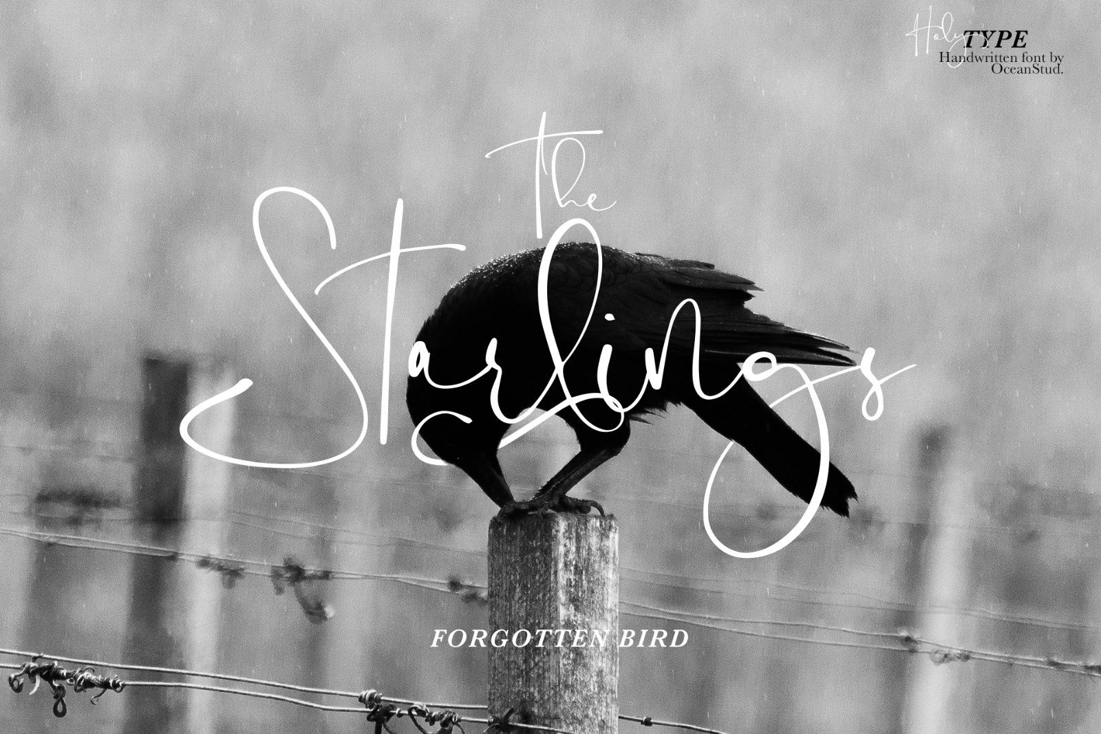 Holy Type | Handwritten Font