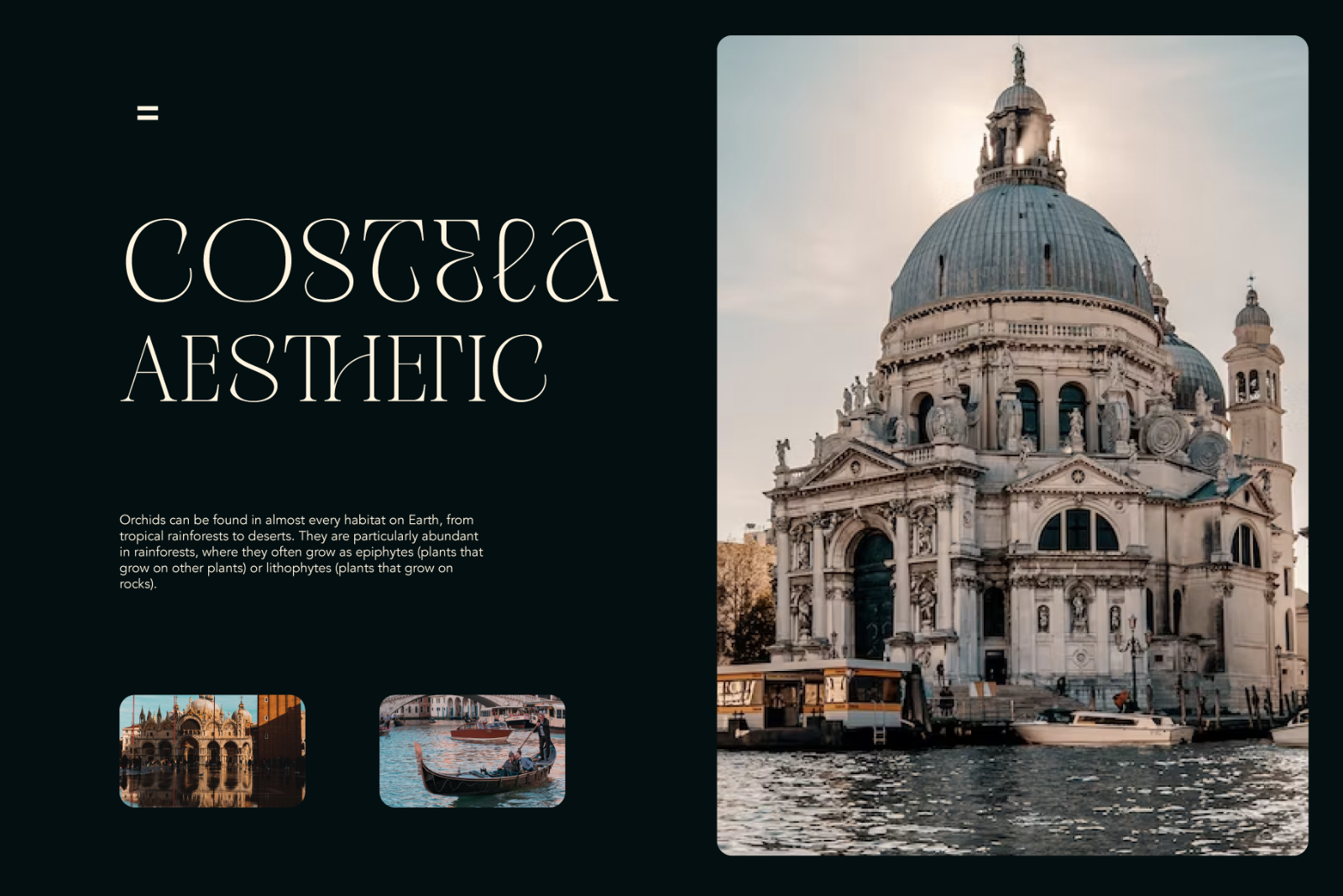 Venice La Corla | Elegant Serif Font — image 6