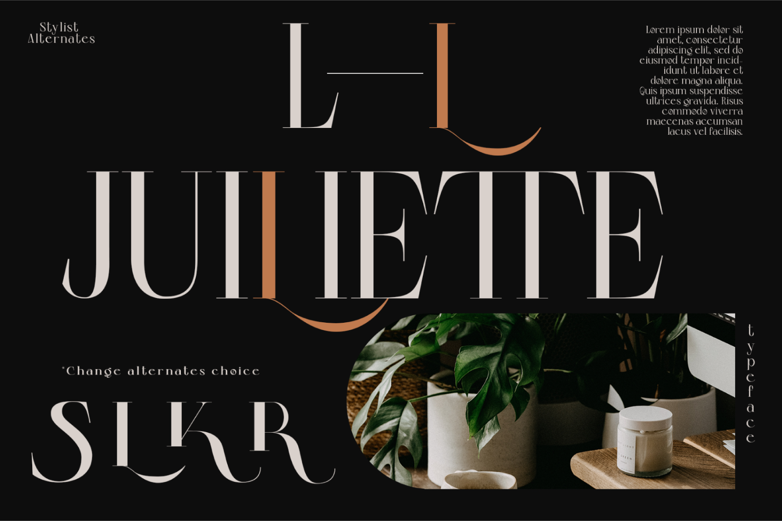 Colibre Bristole Pro | Serif Font