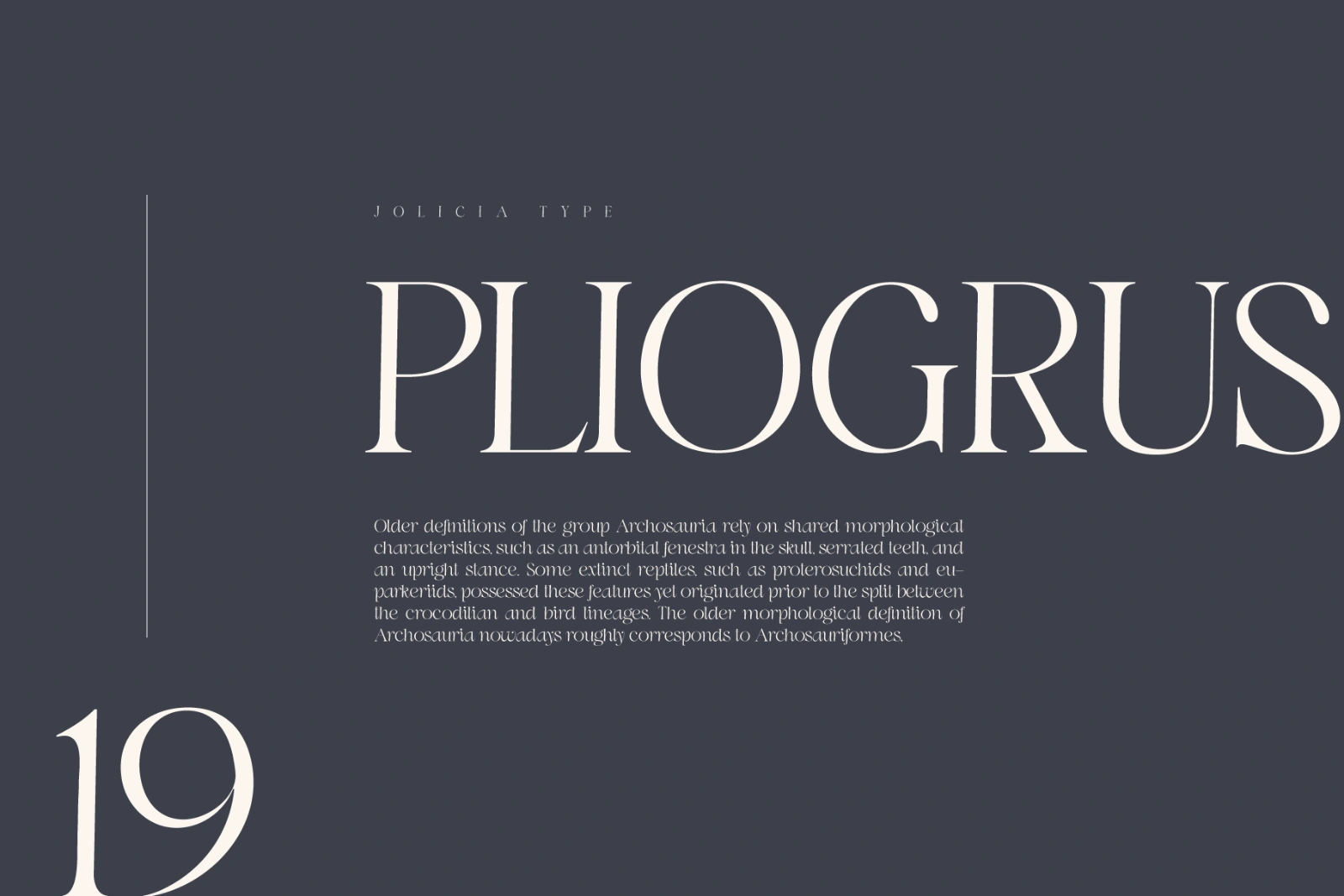 Swily Bright | Classy Font — image 7