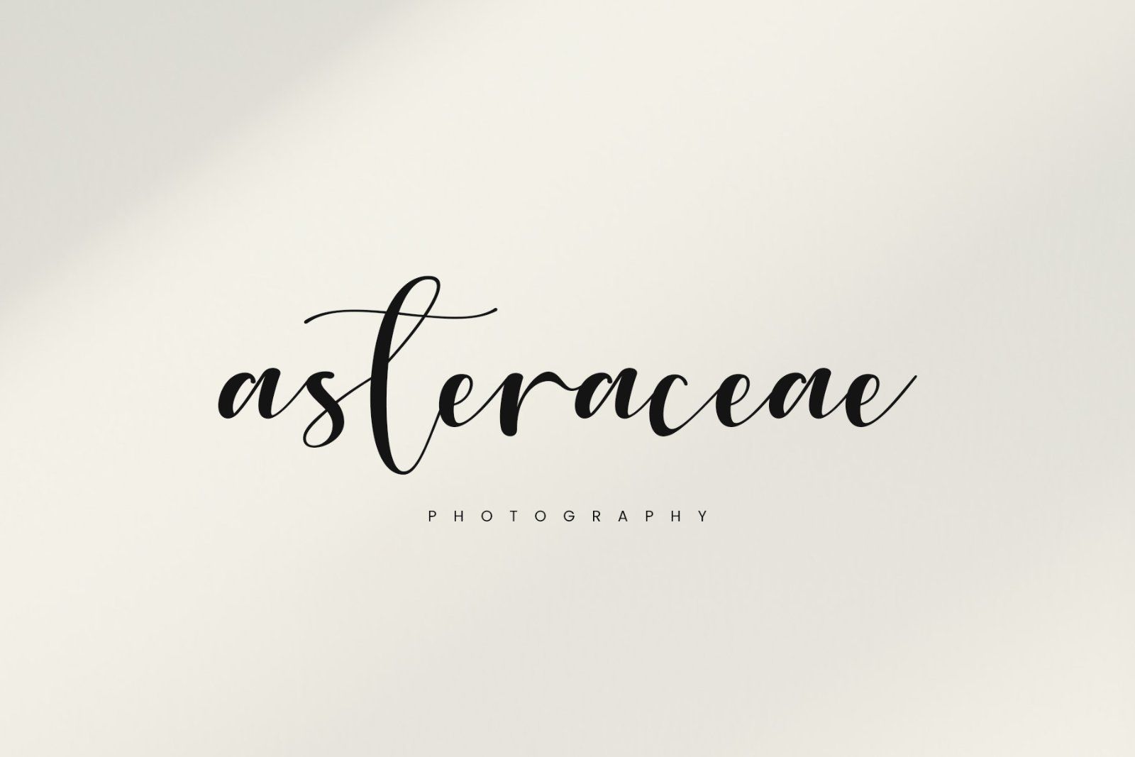 Cartney | Elegant Handwritten Script Font