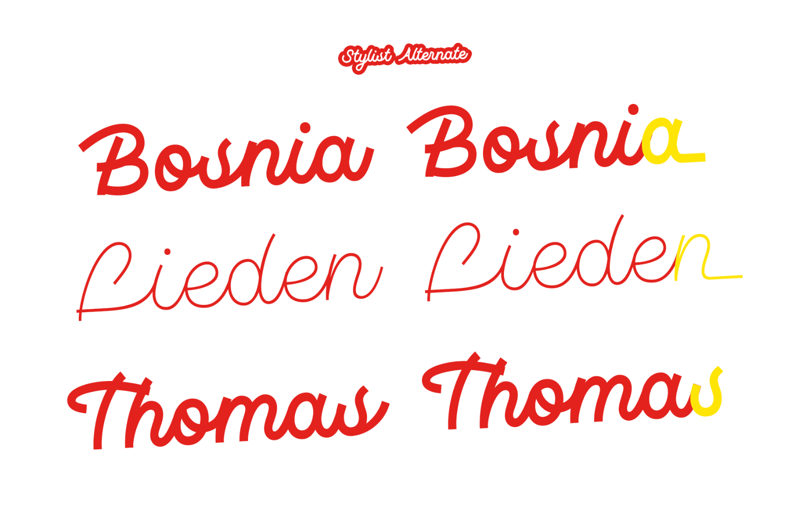 Monotail Script | Monoline Font Family — image 6