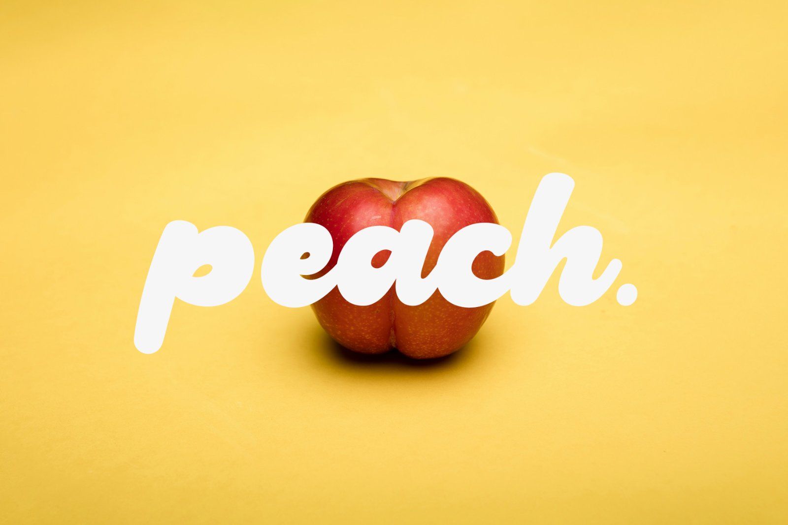 Cattie | Rounded Script Typeface
