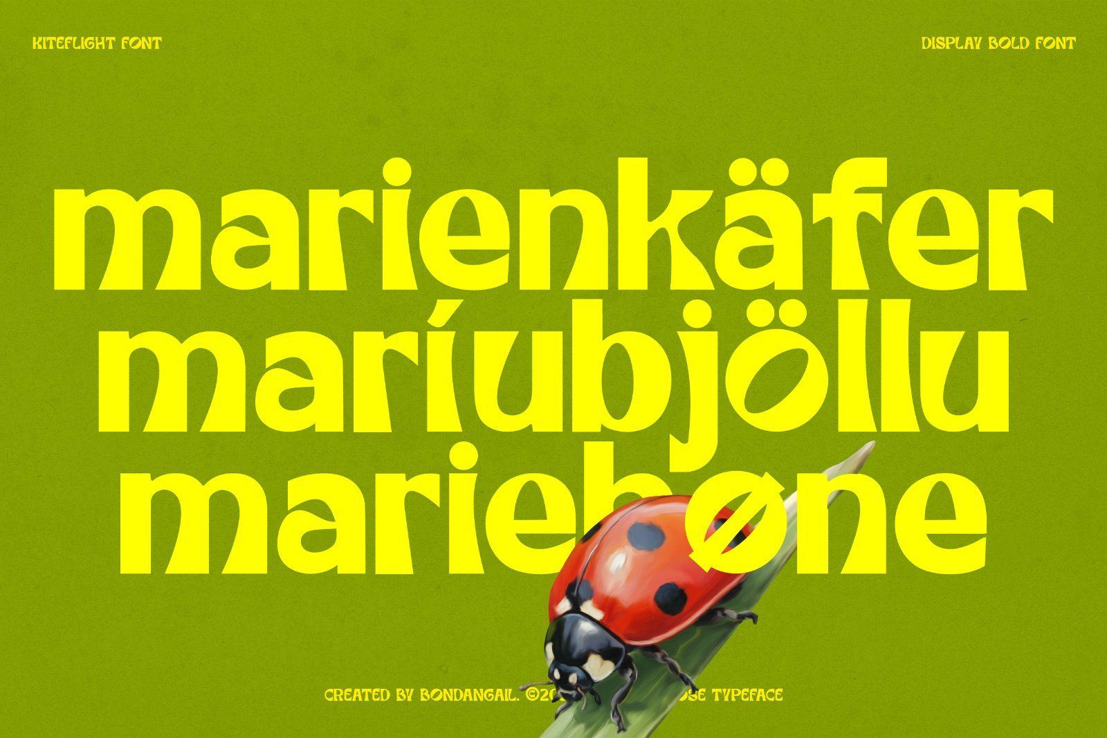 Kiteflight | Breezy Display Font