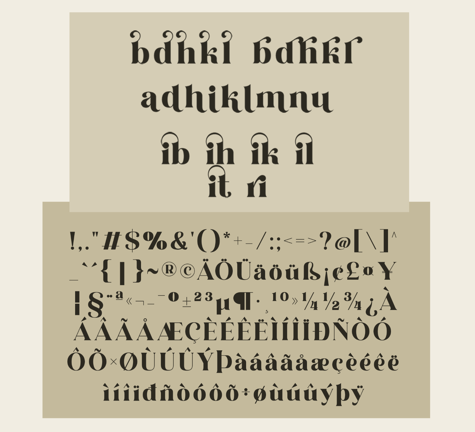 Claresicha – Modern Elegant Serif Font — image 6