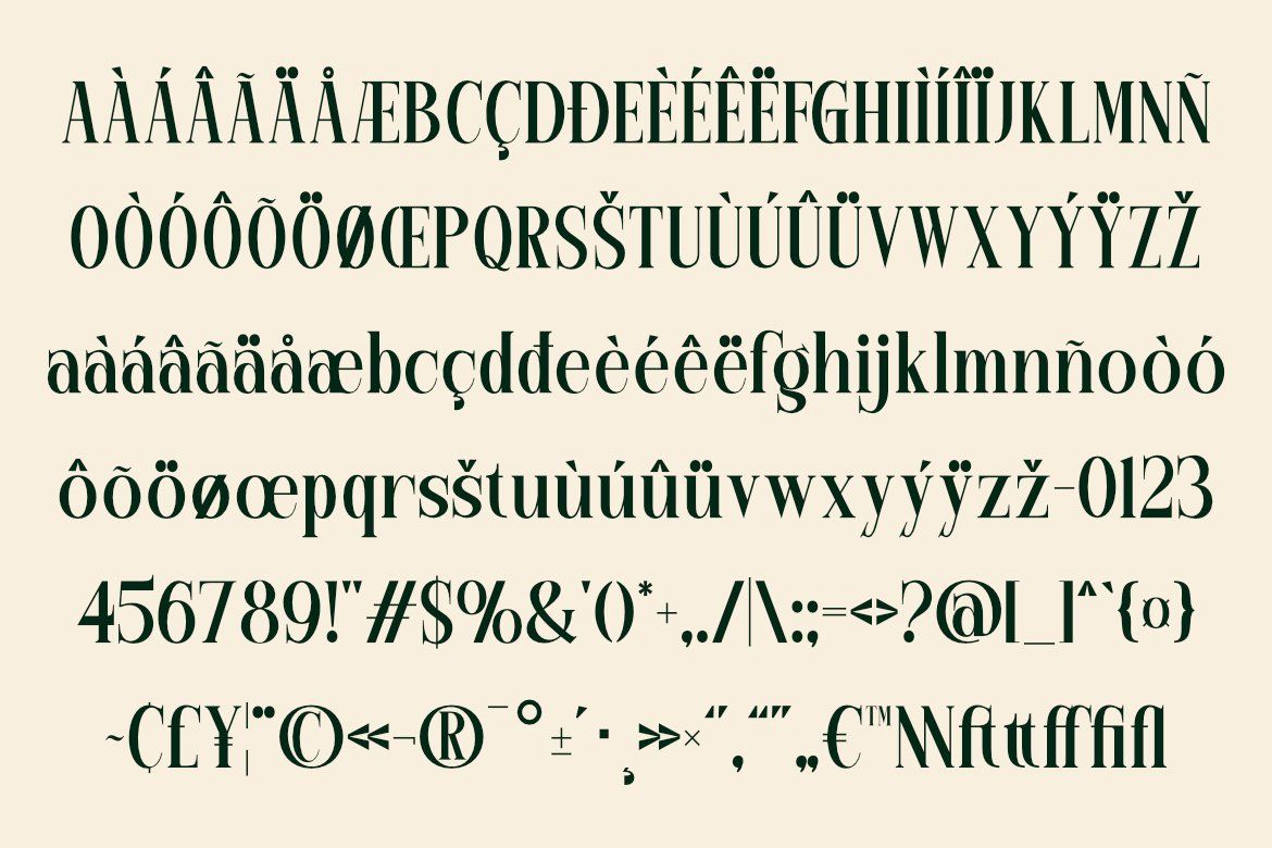 The Morvenna | Elegant Luxury Serif — image 6