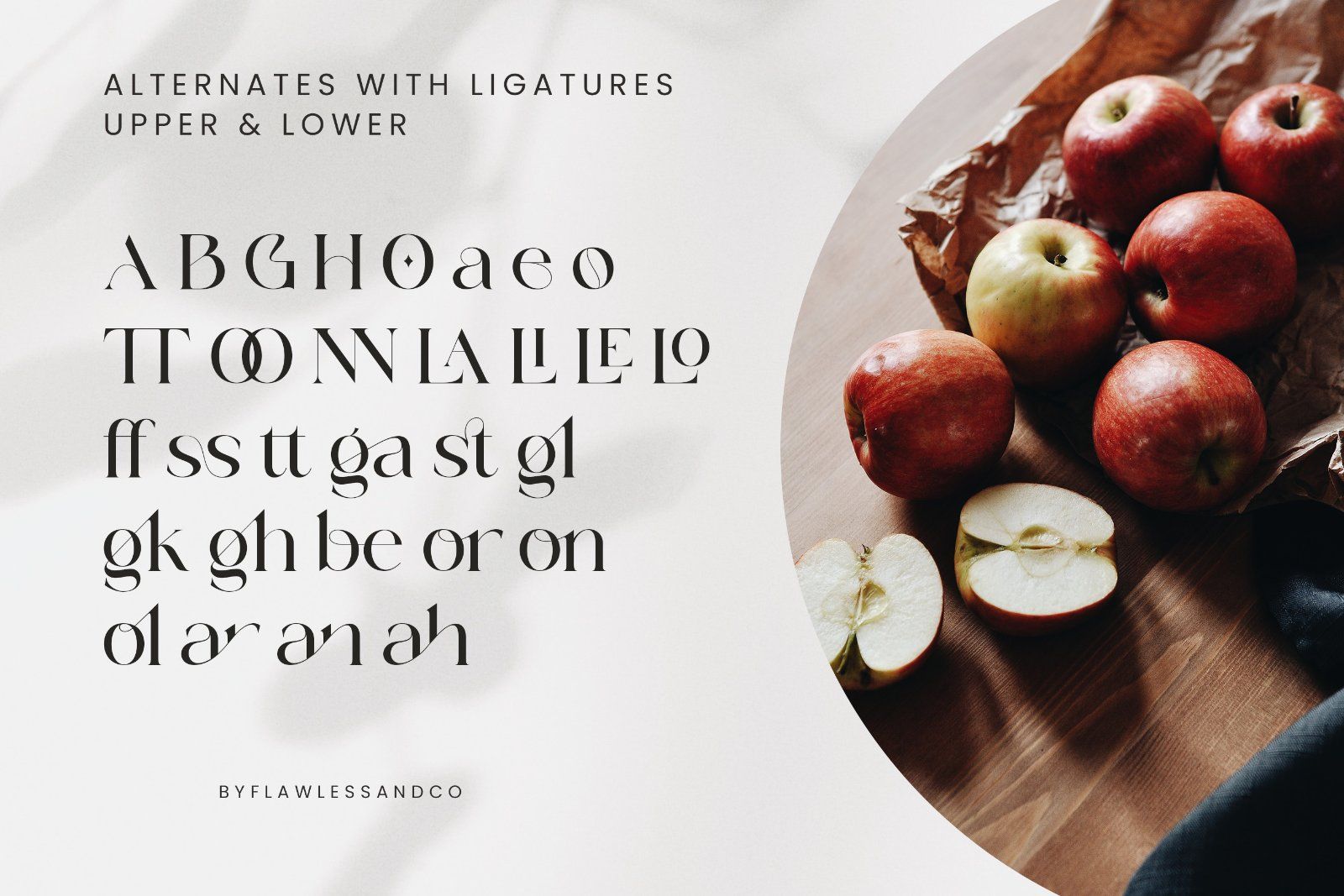 Volgarie - Modern Stylish Serif Font — image 9