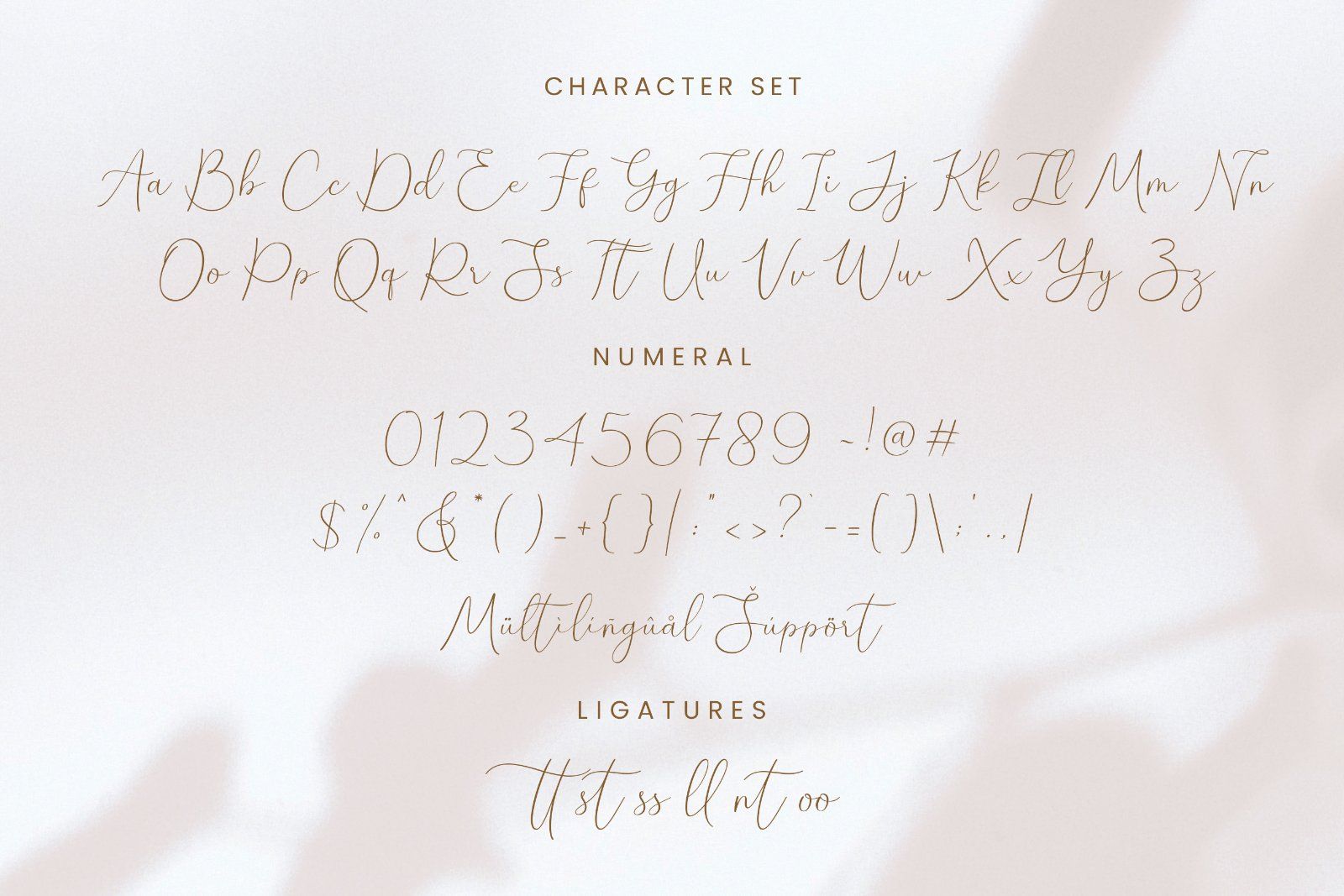 Denara - Elegant Handwriting Font — image 8
