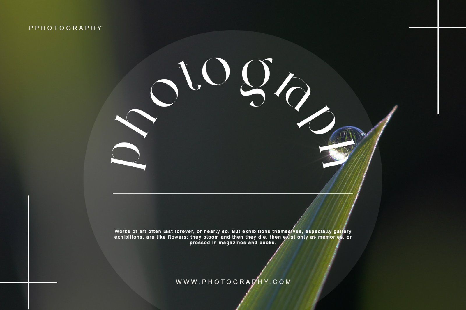 Giflitte Modern Ligature Serif — image 6