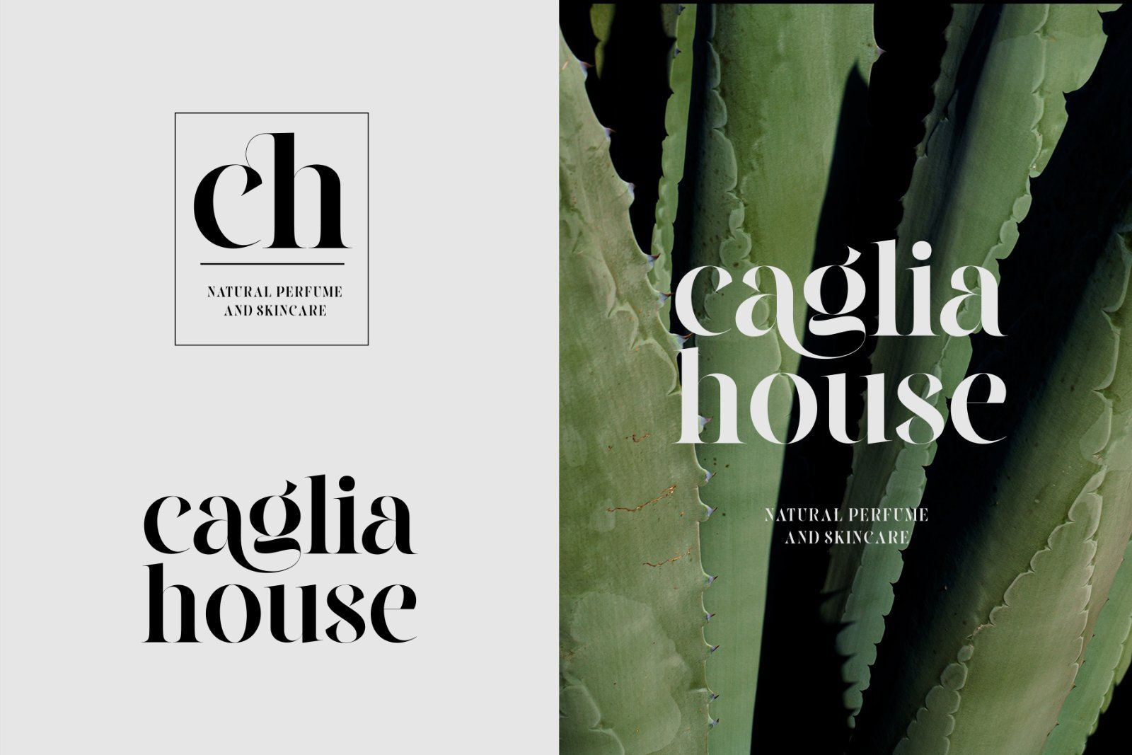 Cilager - Modern Serif Typeface — image 6