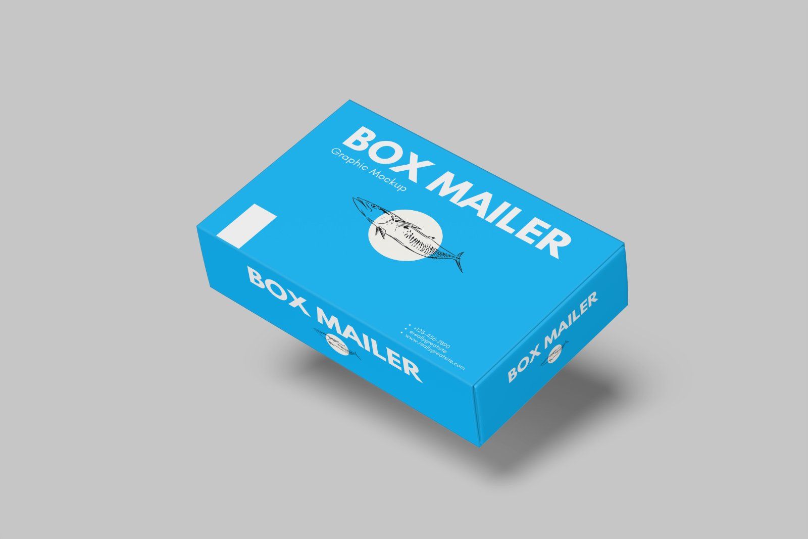 Mailer Box Mockup