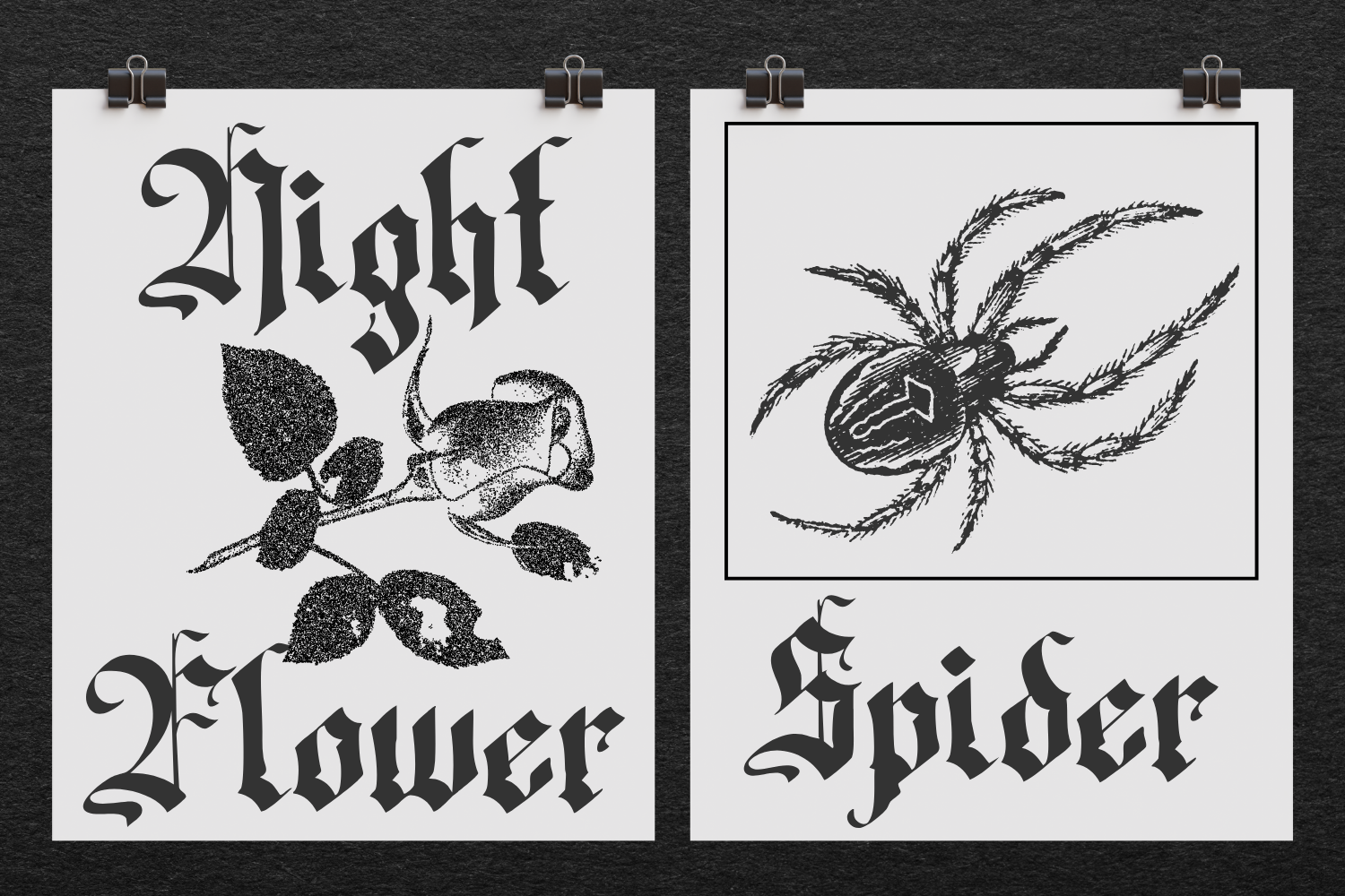 Zhatend Sildyer – Blackletter Font — image 6