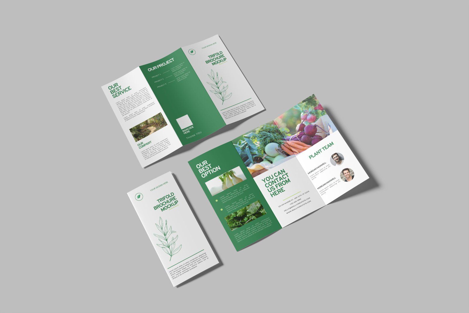 Trifold Brochure Mockup — image 6