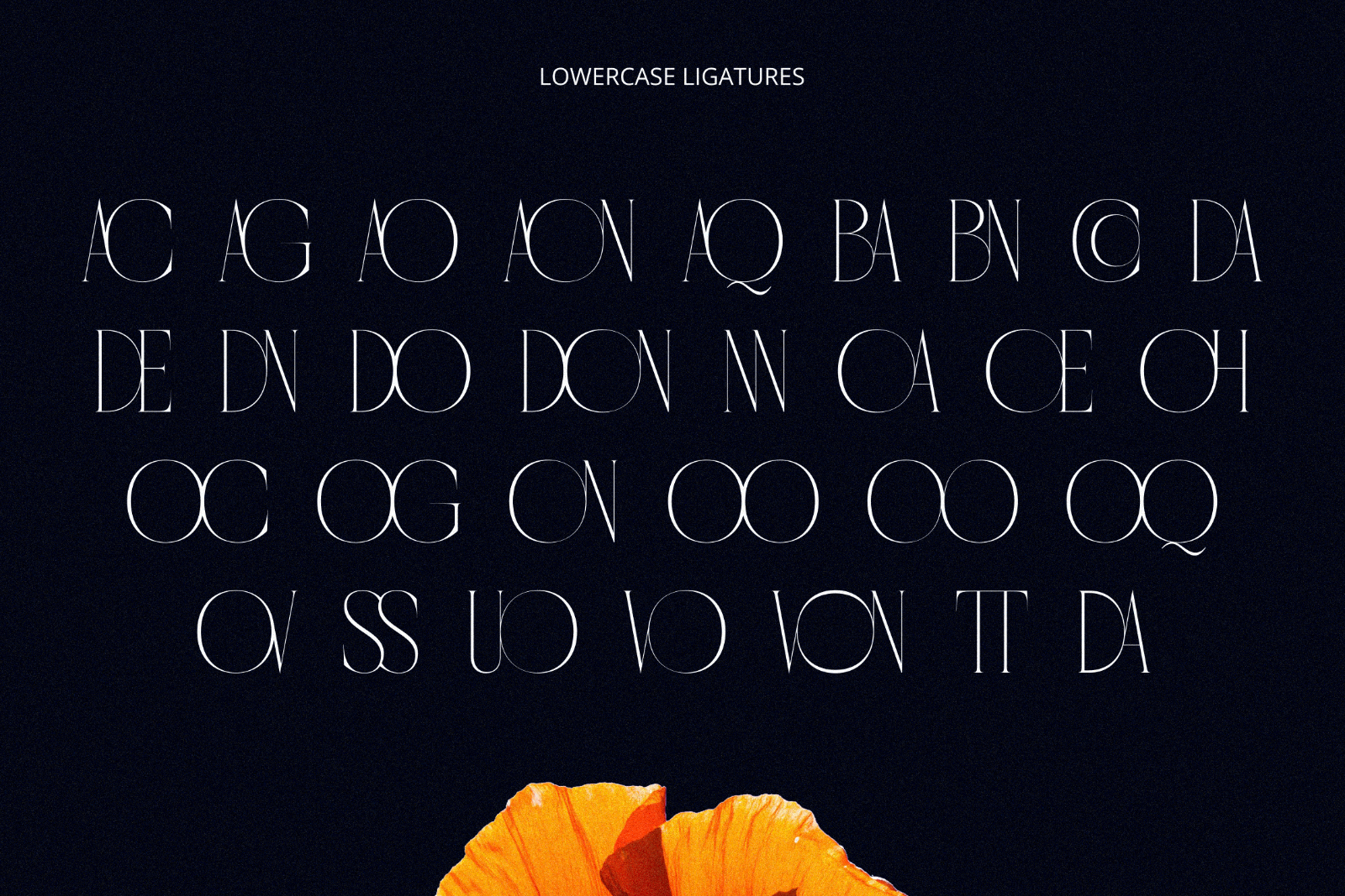 Cordelia - Unique Ligature Serif — image 6